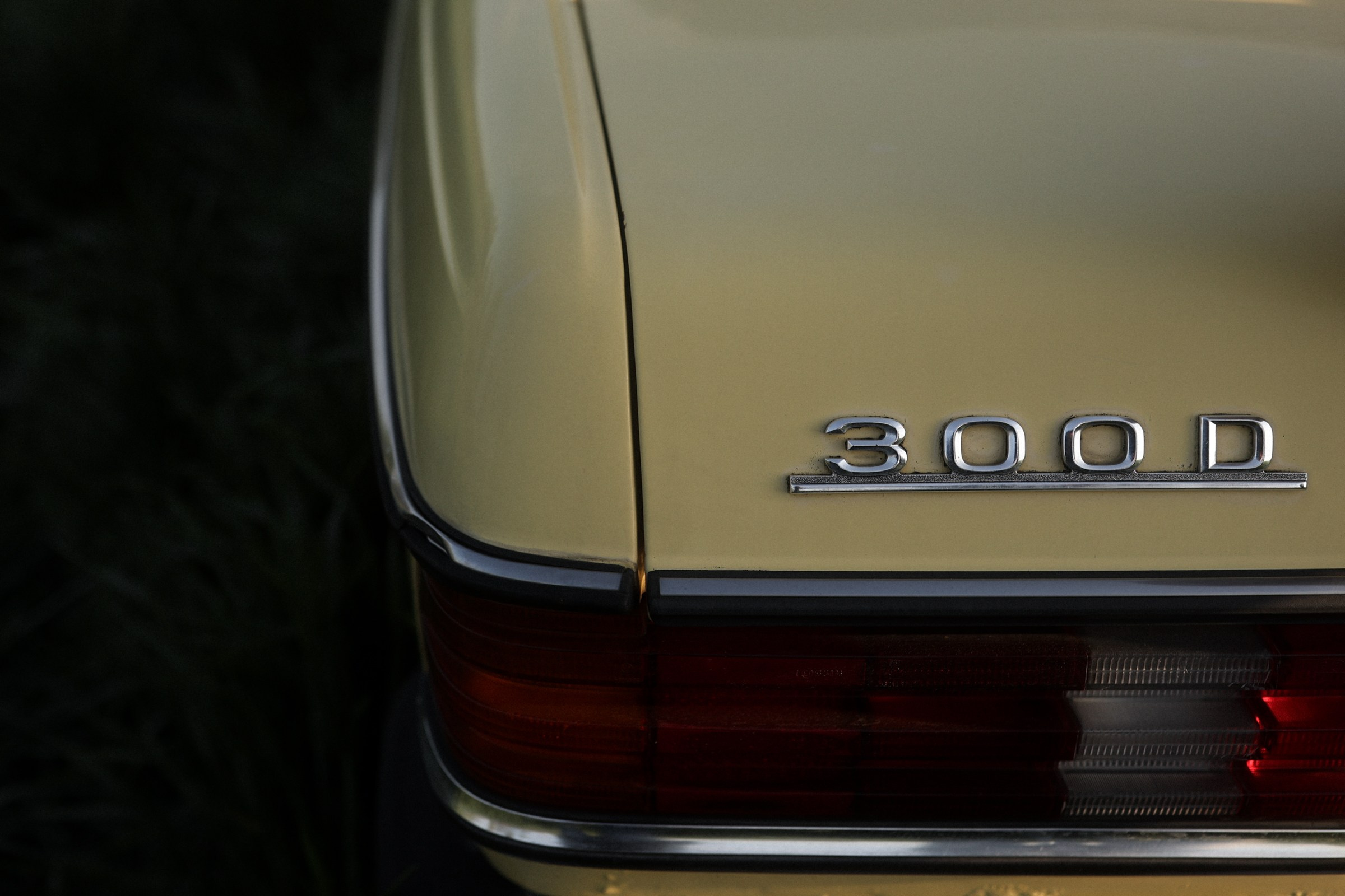 В поле. Фотограф в Севастополе и Крыму Артем Волобуев