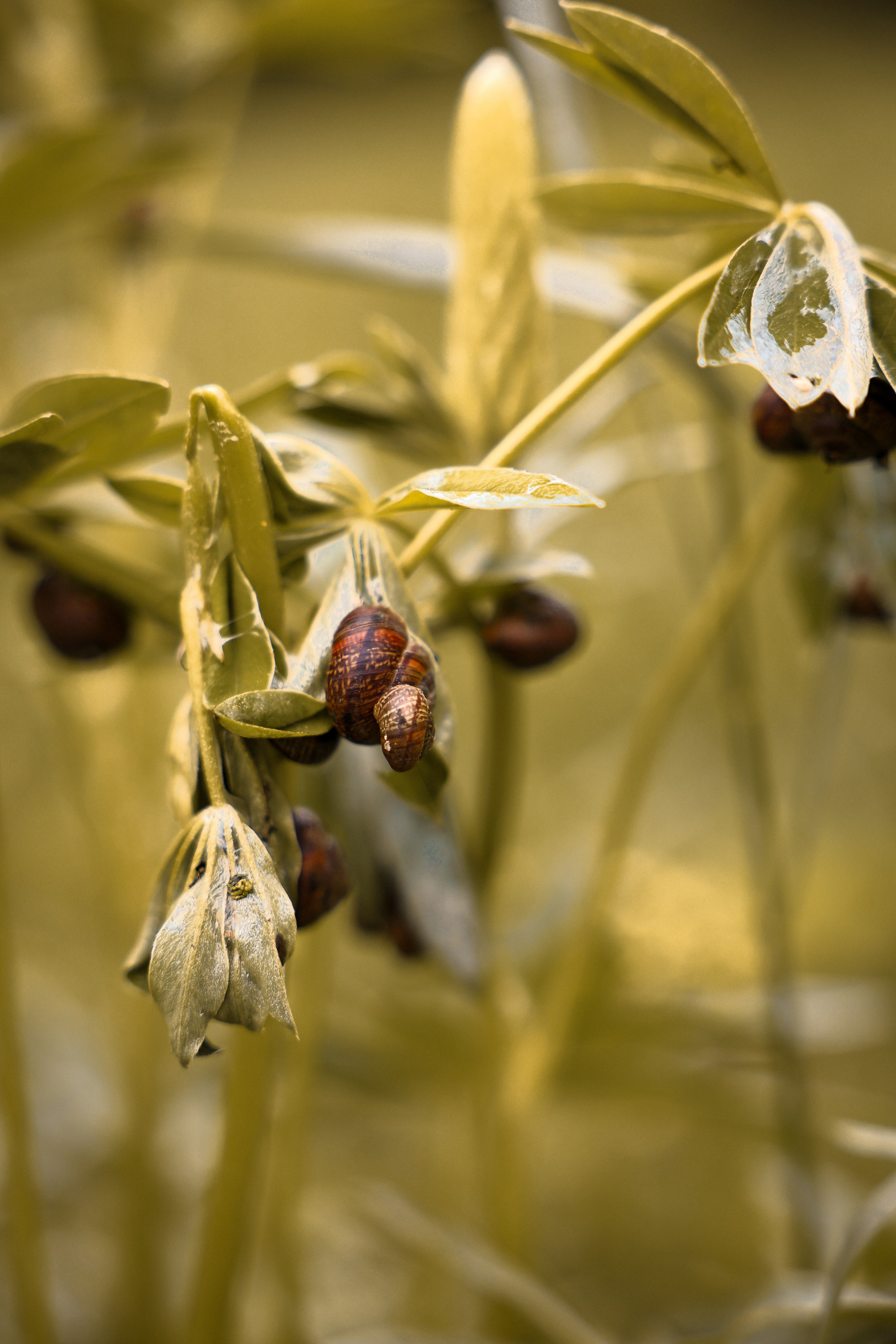 Прогулка в парке. Катя и Платон. Ваш семейный newborn и lifestyle фотограф в СПБ Наталья Журавлева