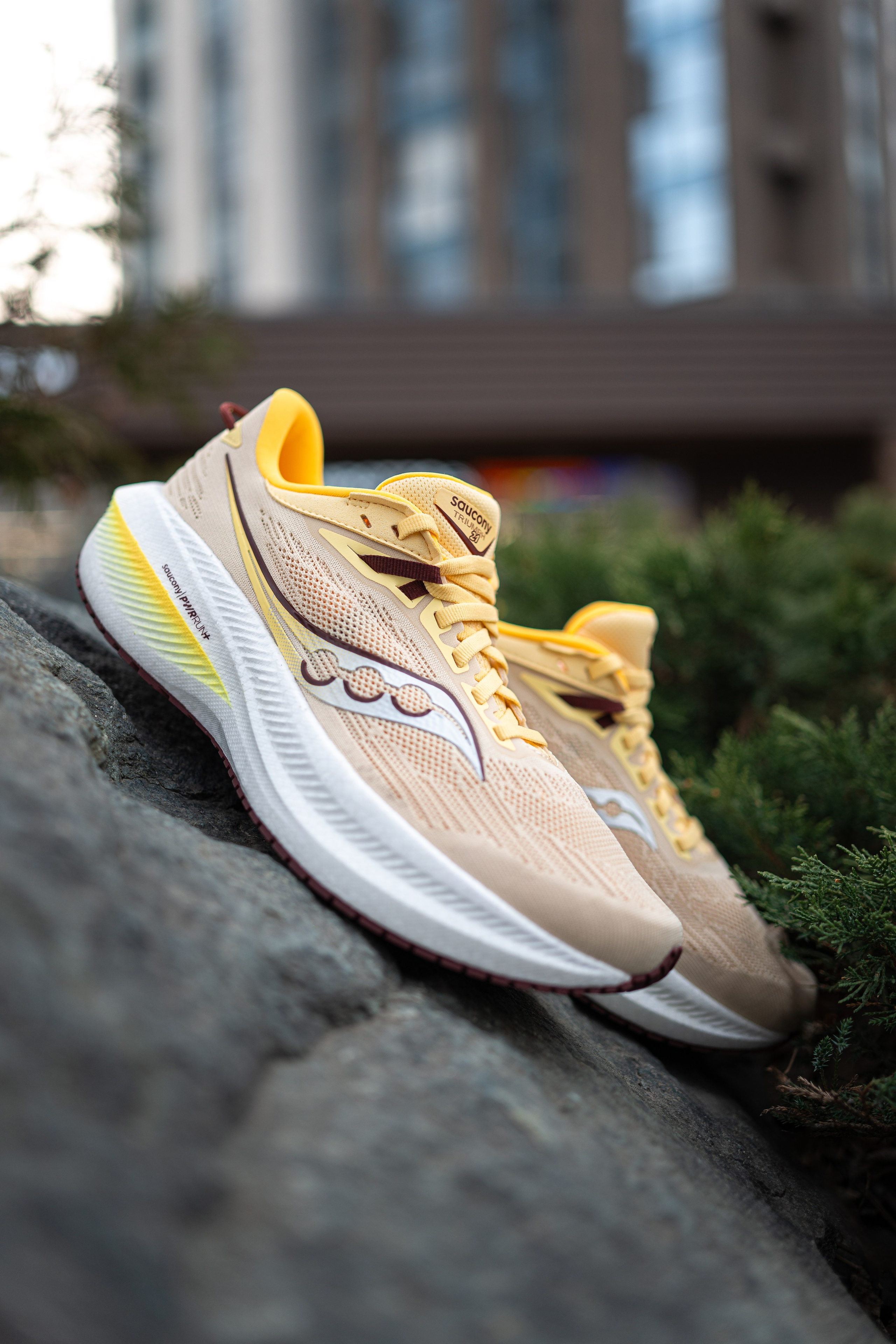 Контент. Фотографы Дарья и Дмитрий Арсентьевы