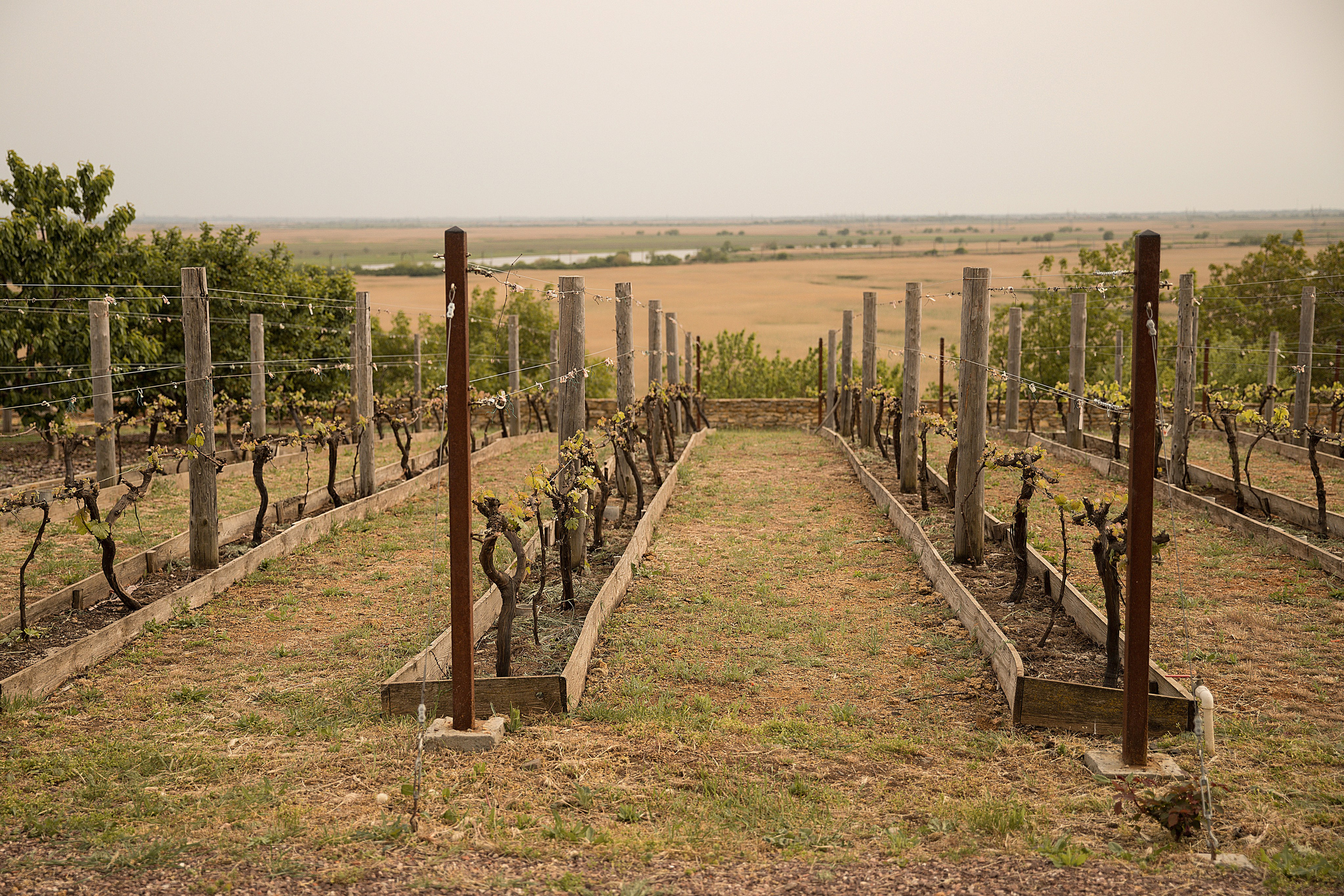 A piece of Greece. Фотограф Матвеева Татьяна