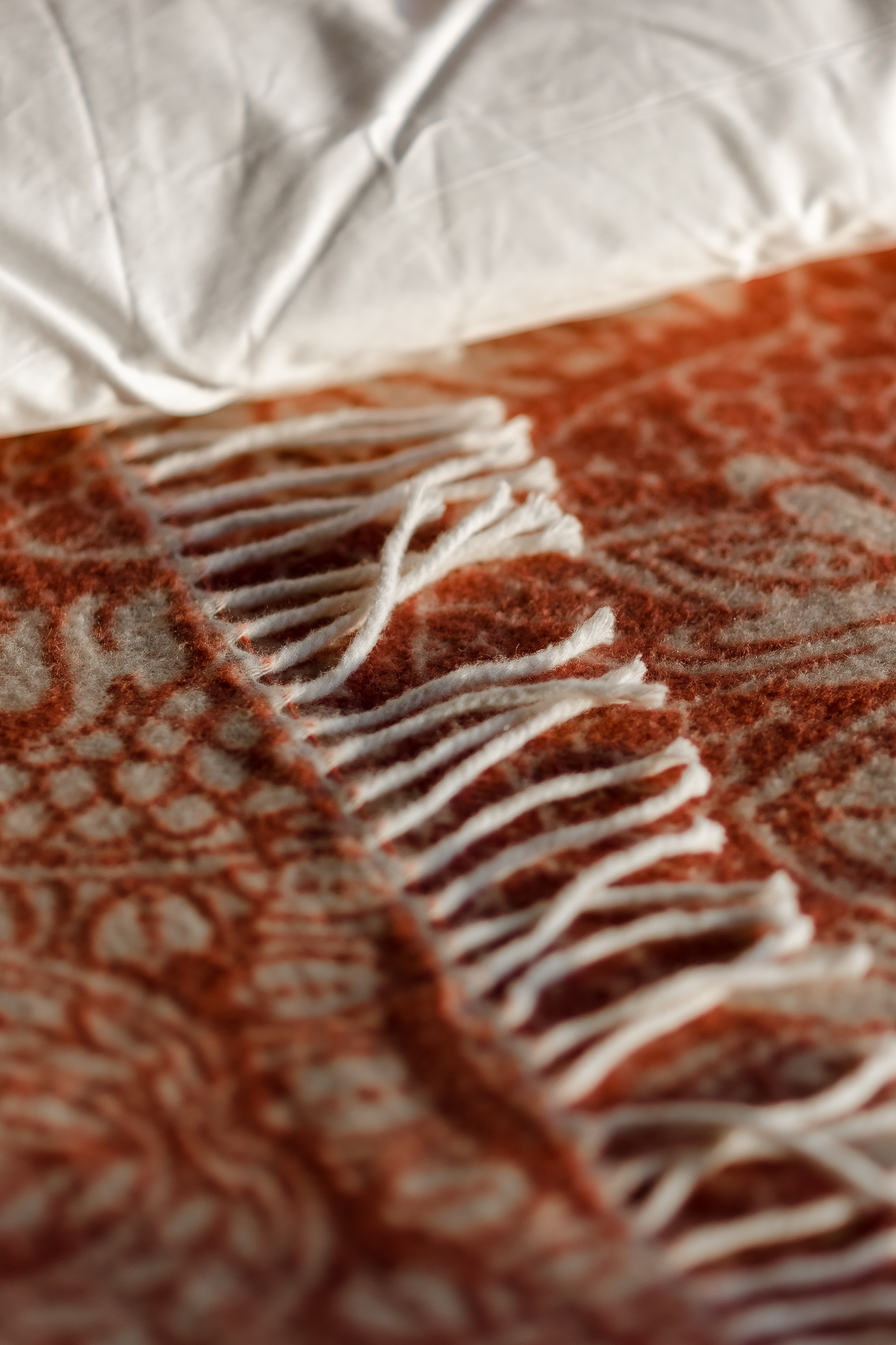 Аврора, Камчатка. Главная