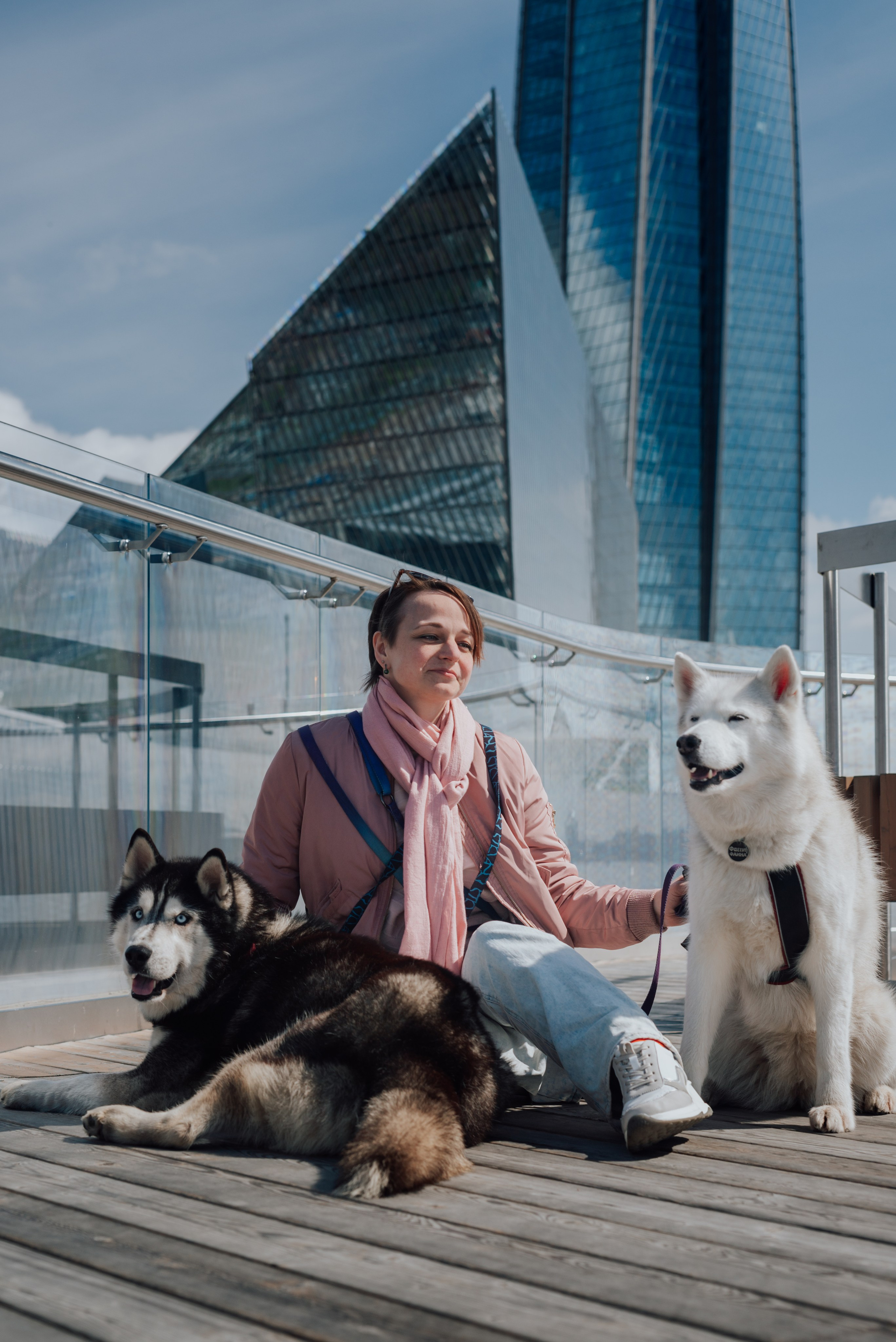 Фотодень с хаски. Фотограф в Санкт-Петербурге и Ленинградской области