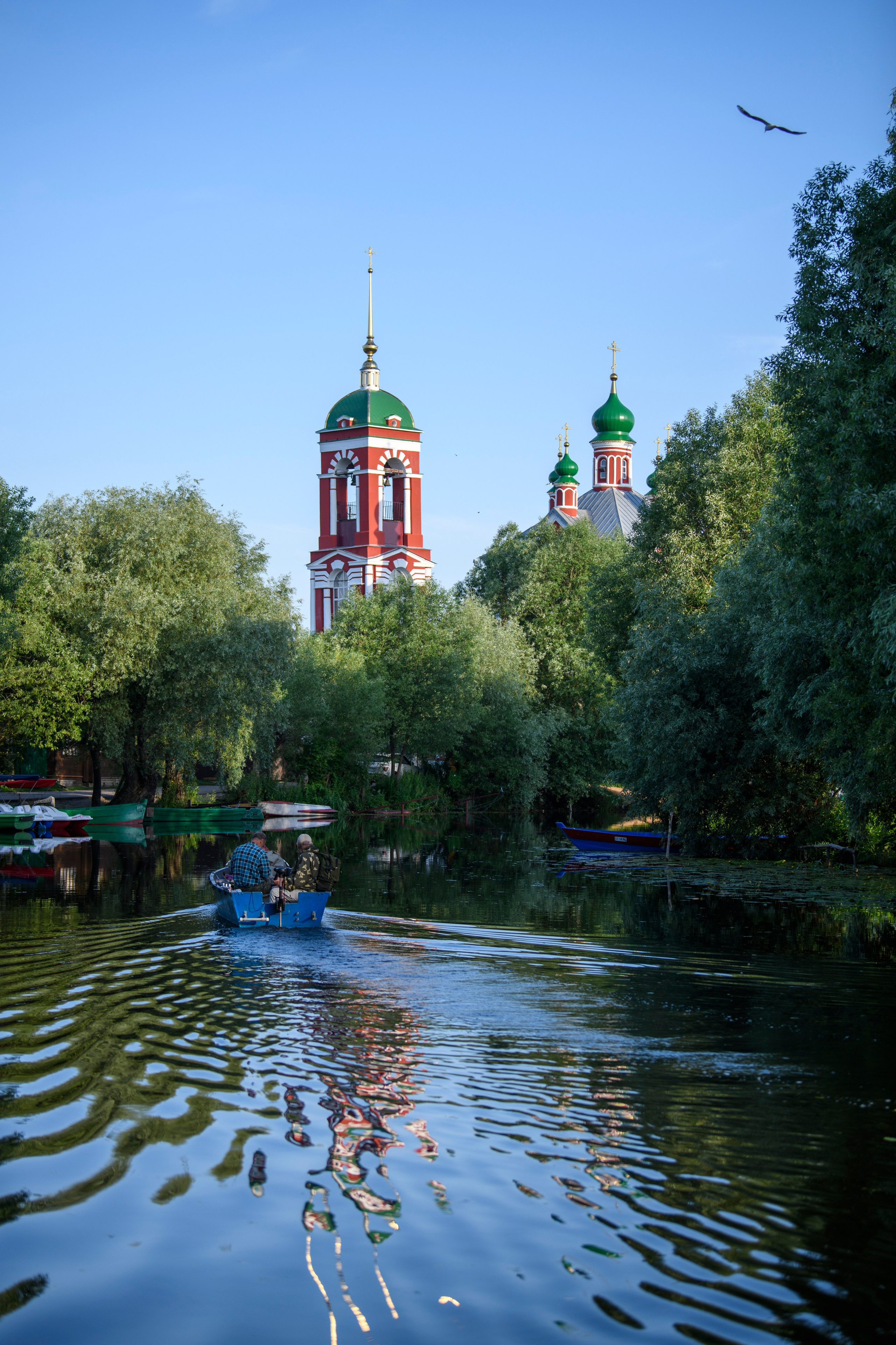 Переславль-Залесский. Wildlife photography by Sergey Puponin