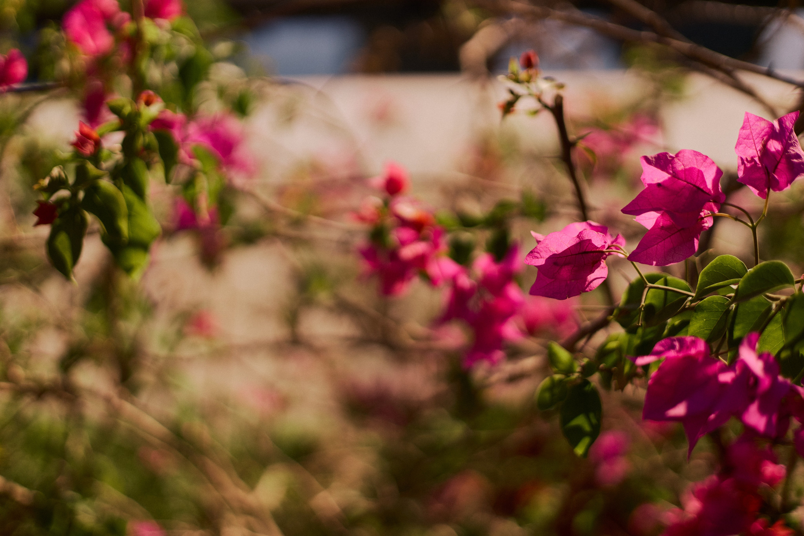 Улица горизонтальная. Jorgis — фотограф в Хургаде / обучение фотографии