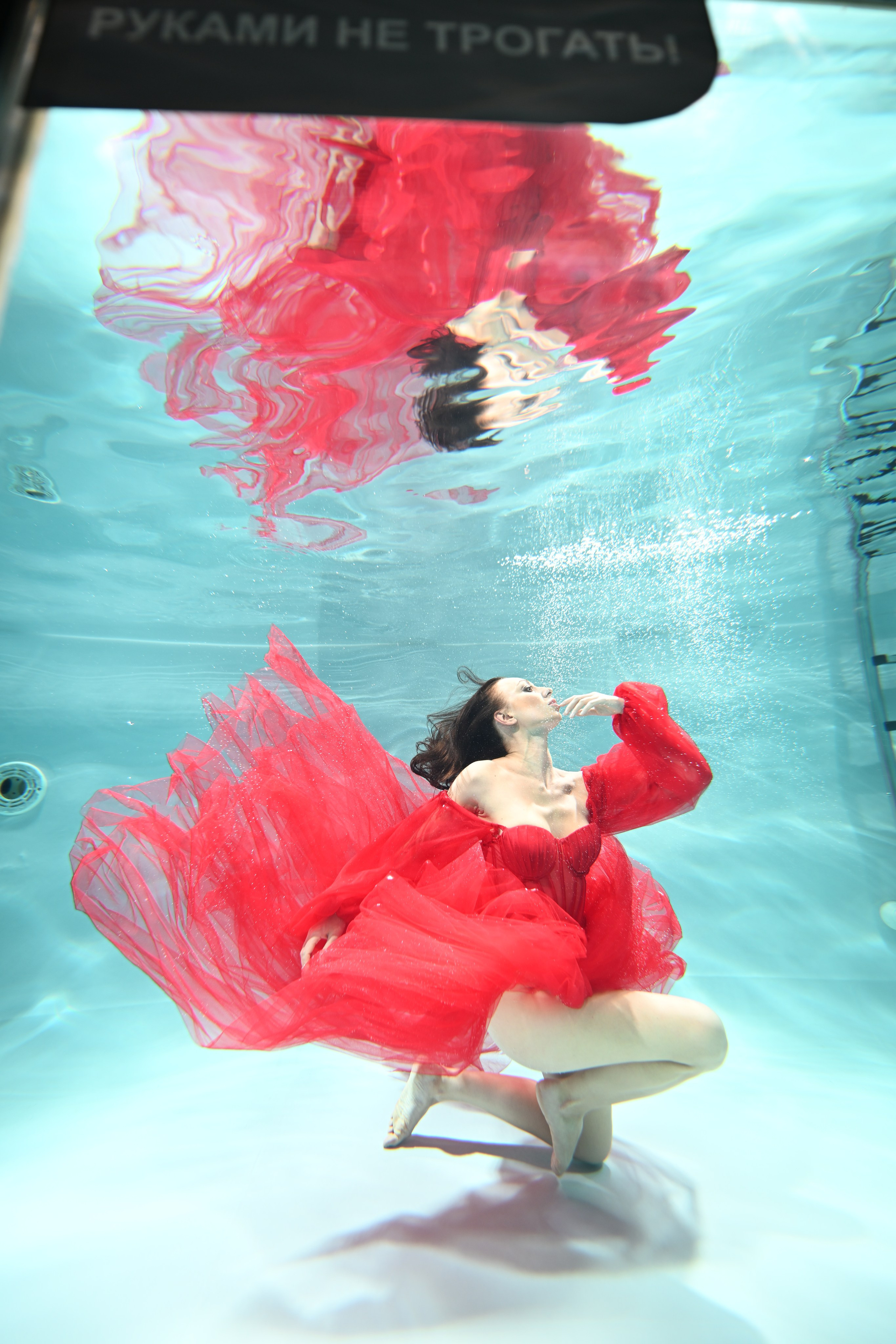 Аква студия НЕМО. Фотограф в Санкт-Петербурге Сафронов Николай