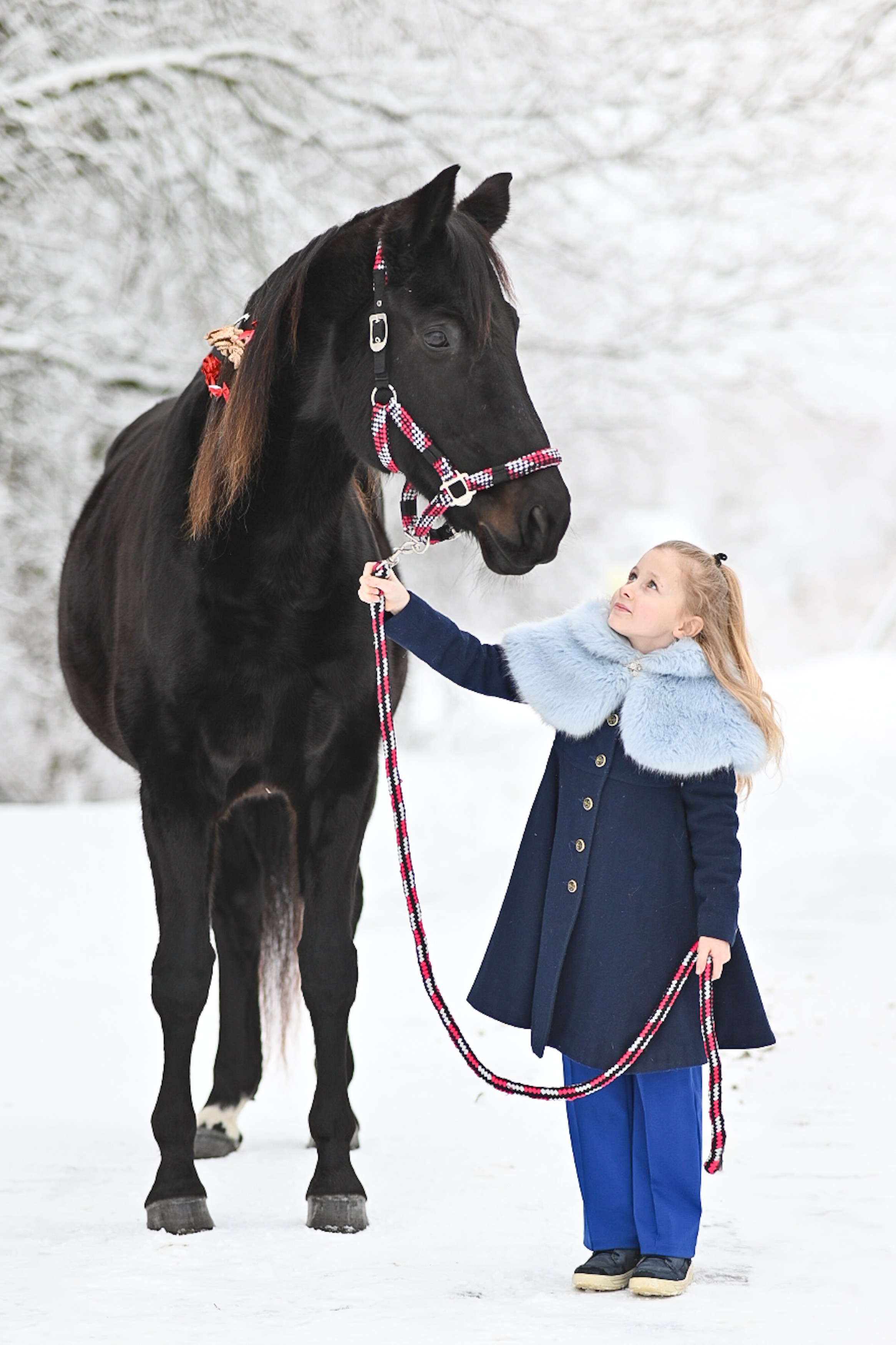 King. LifeStyle фотограф Анна Воробьёва Санкт-Петербург