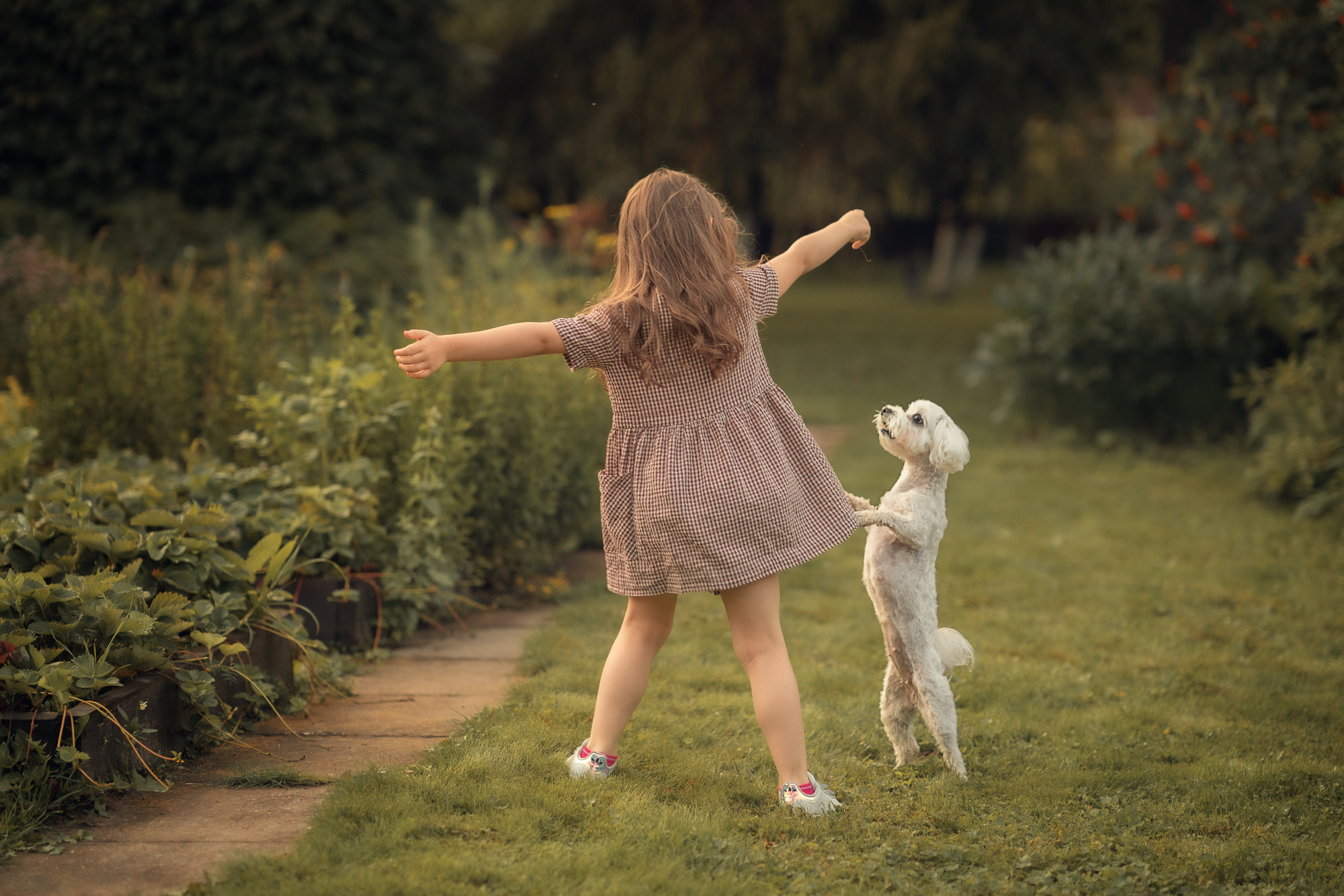 Портфолио (урок по детской съемке). Наталья Рапопорт. Онлайн-курсы по фотографии и съемке видео