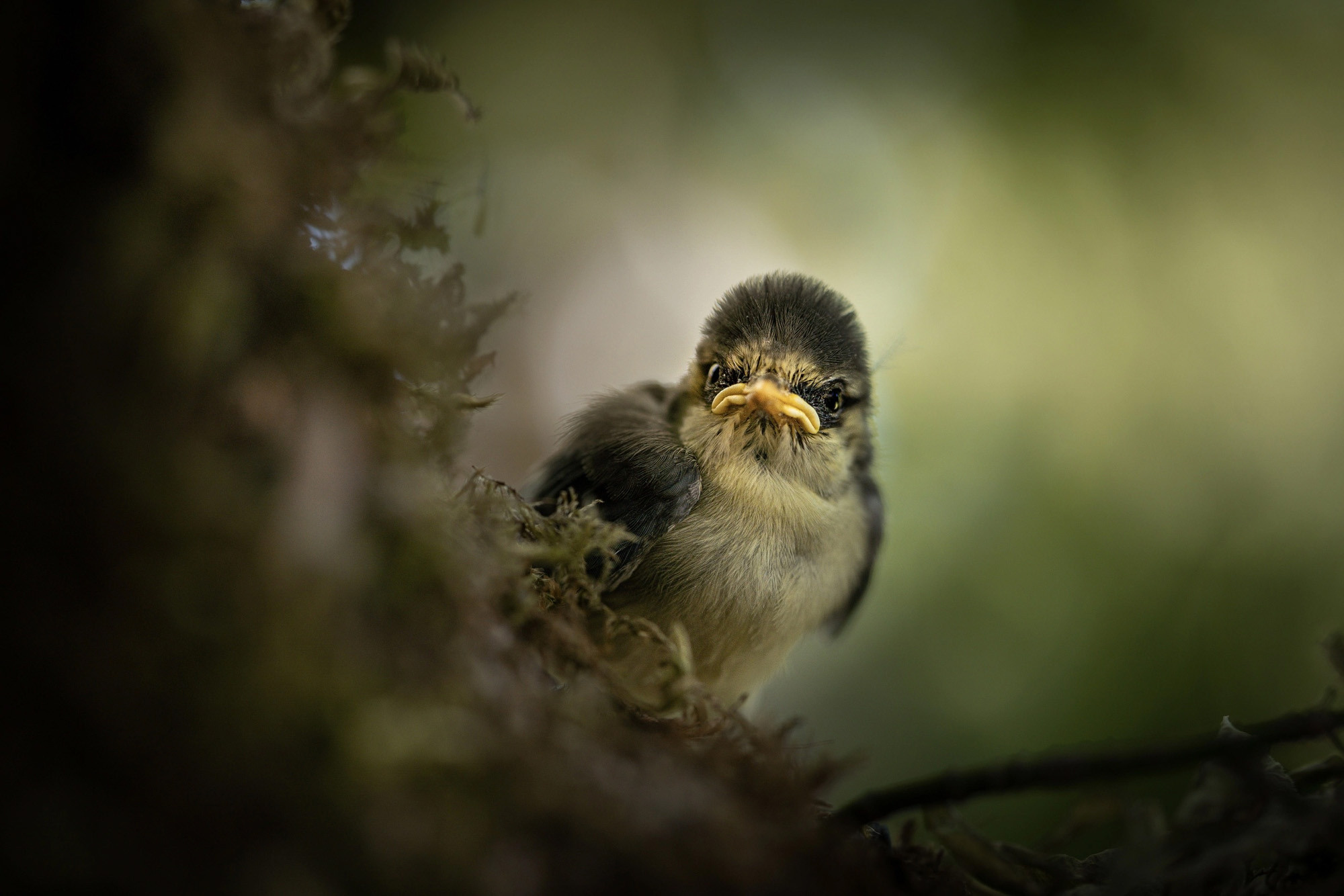 Работы учеников курса по фотографии. Наталья Рапопорт. Онлайн-курсы по фотографии и съемке видео
