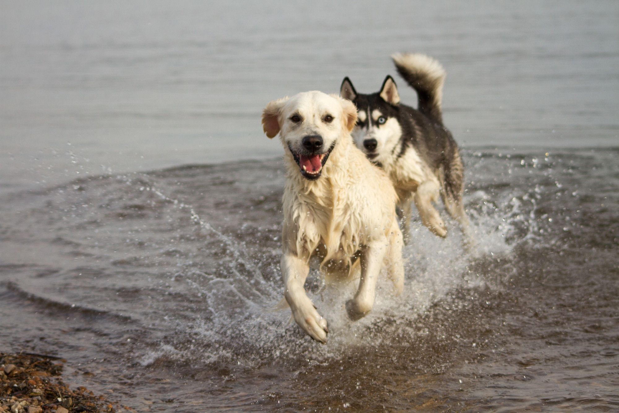 Работы учеников курса по фотографии (вебинар). Наталья Рапопорт. Онлайн-курсы по фотографии и съемке видео