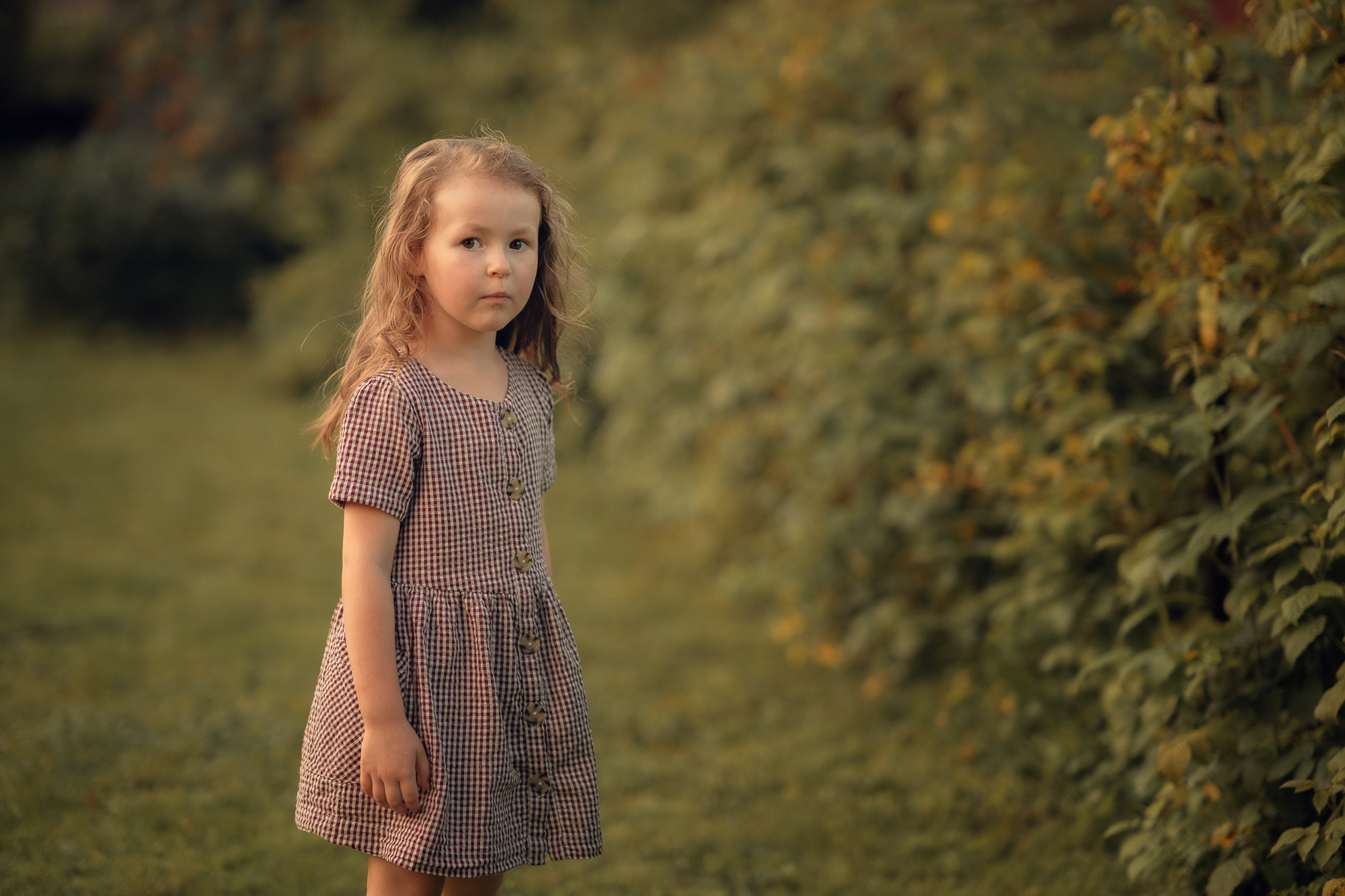 Портфолио (урок по детской съемке). Наталья Рапопорт. Онлайн-курсы по фотографии и съемке видео