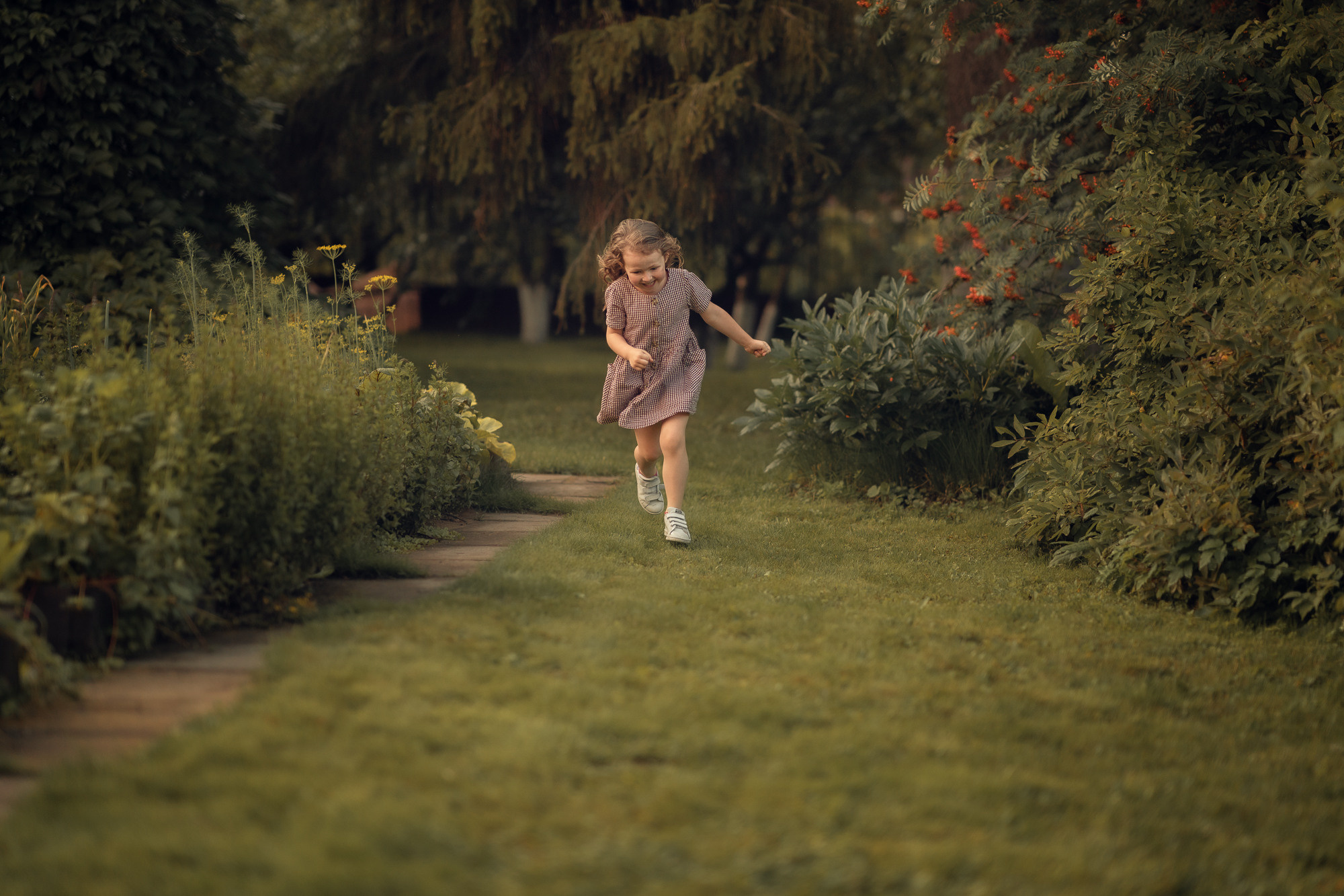 Портфолио (урок по детской съемке). Наталья Рапопорт. Онлайн-курсы по фотографии и съемке видео