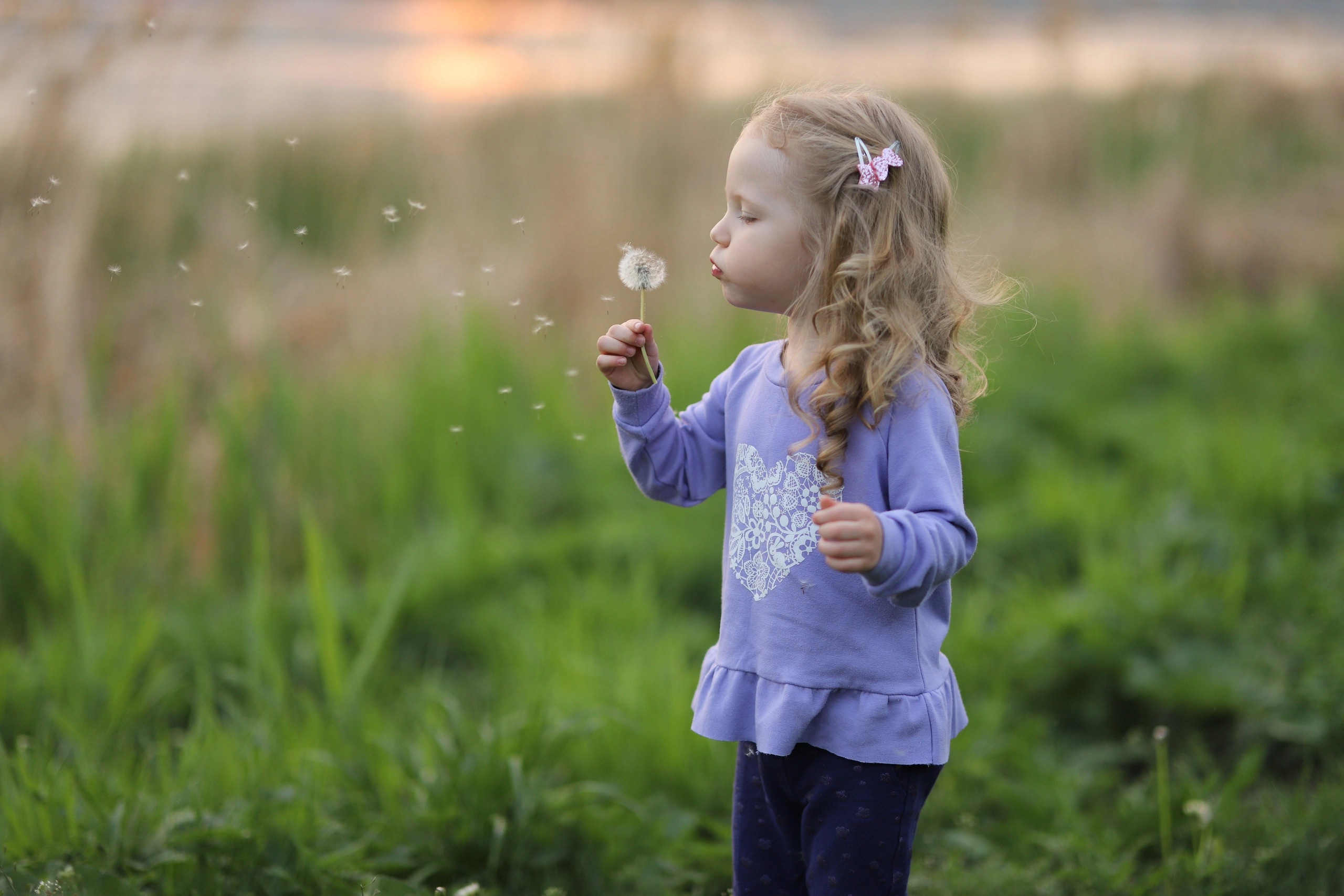 Работы учеников курса по фотографии (вебинар). Наталья Рапопорт. Онлайн-курсы по фотографии и съемке видео