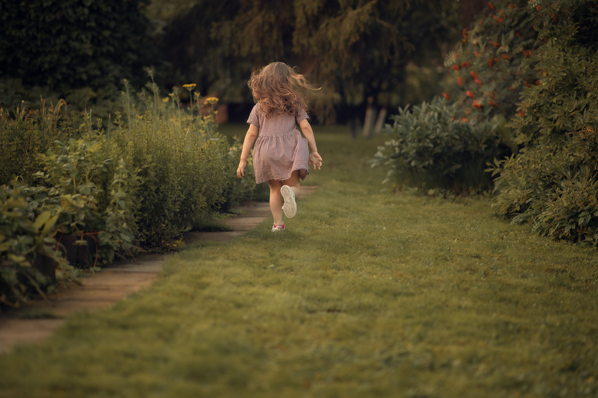 Портфолио (урок по детской съемке). Наталья Рапопорт. Онлайн-курсы по фотографии и съемке видео