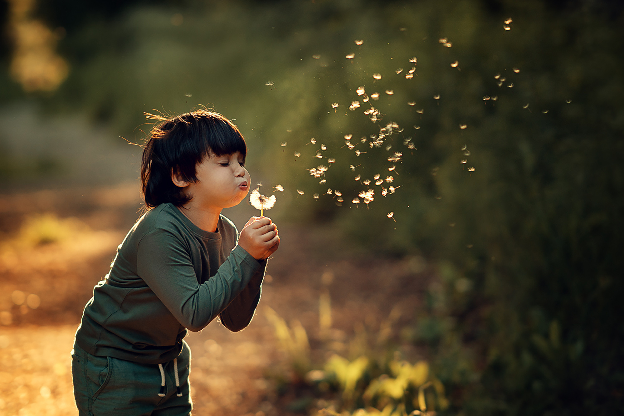Красивый зеленый и стоп рефлексам. Наталья Рапопорт. Онлайн-курсы по фотографии и съемке видео