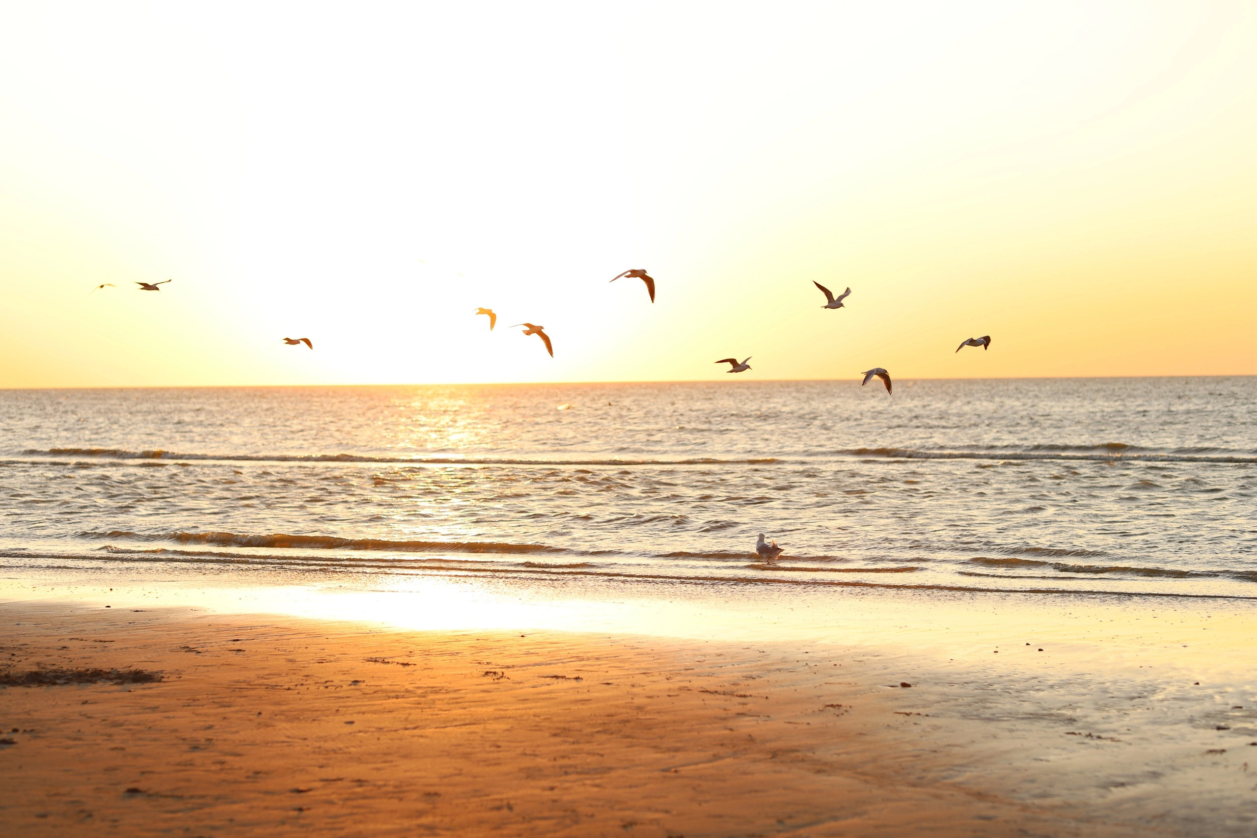 Работы учеников курса по фотографии. Наталья Рапопорт. Онлайн-курсы по фотографии и съемке видео