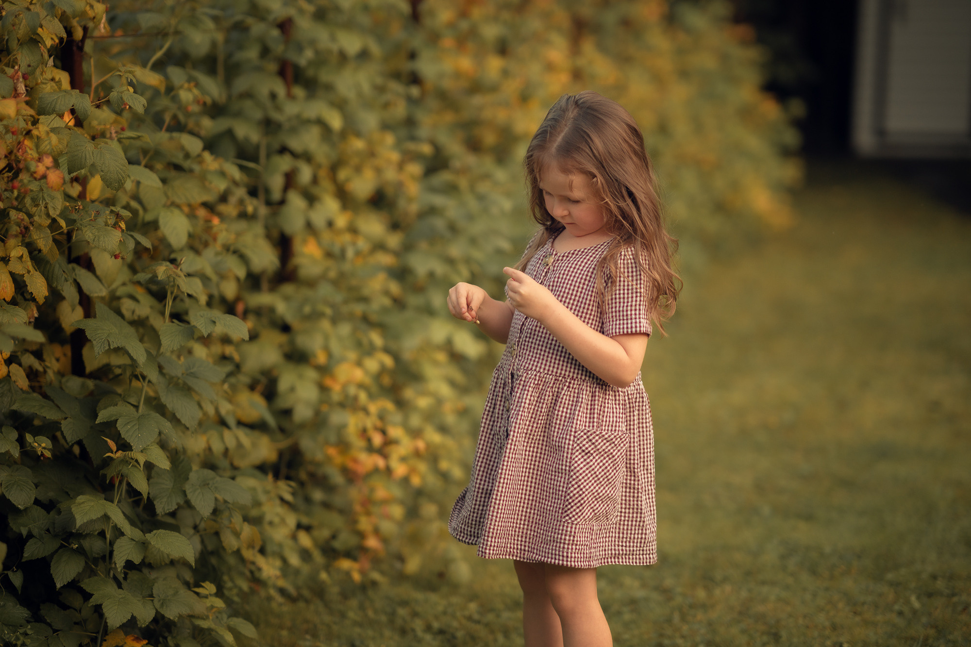Портфолио (урок по детской съемке). Наталья Рапопорт. Онлайн-курсы по фотографии и съемке видео