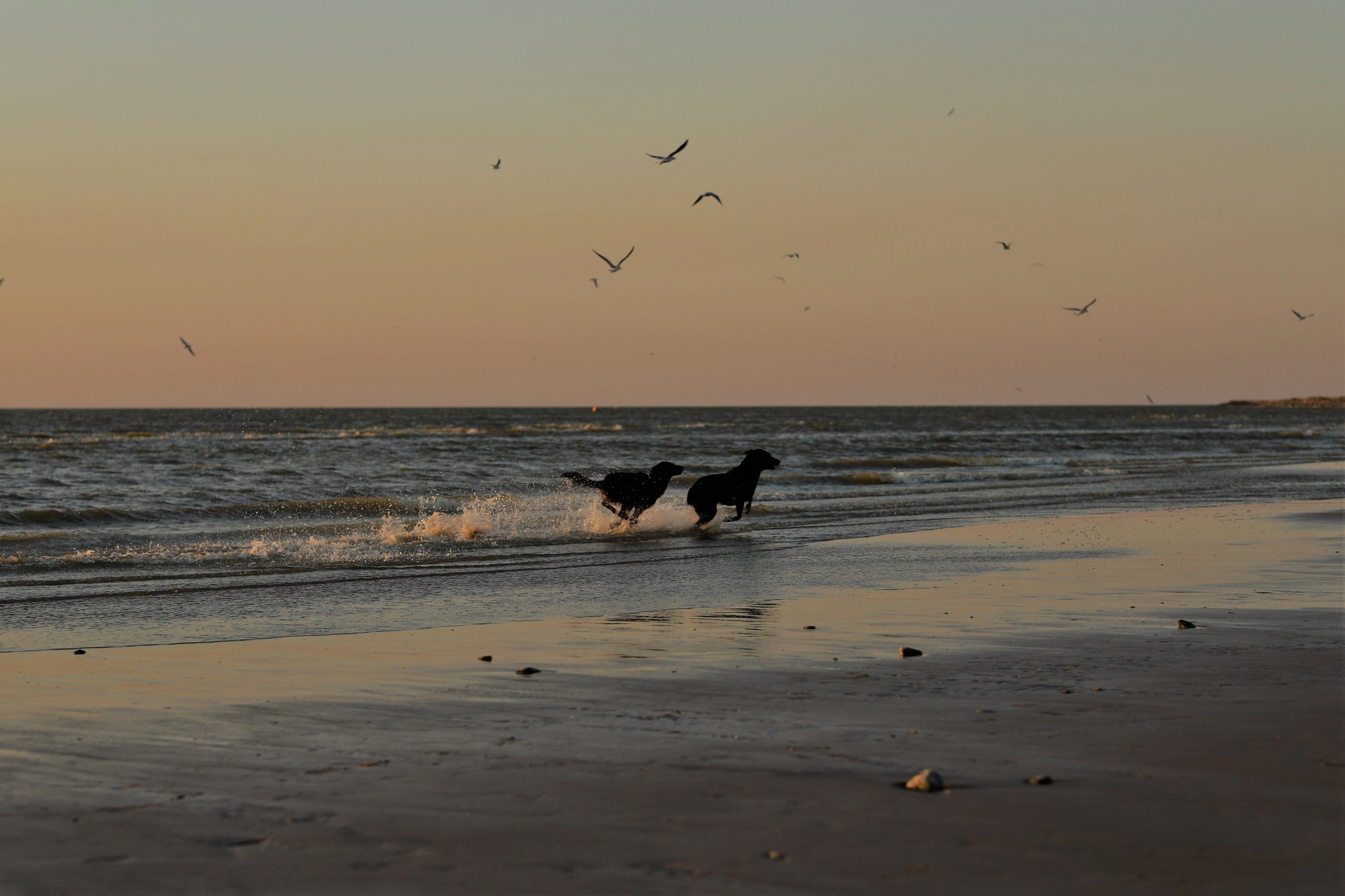 Работы учеников курса по фотографии (вебинар). Наталья Рапопорт. Онлайн-курсы по фотографии и съемке видео
