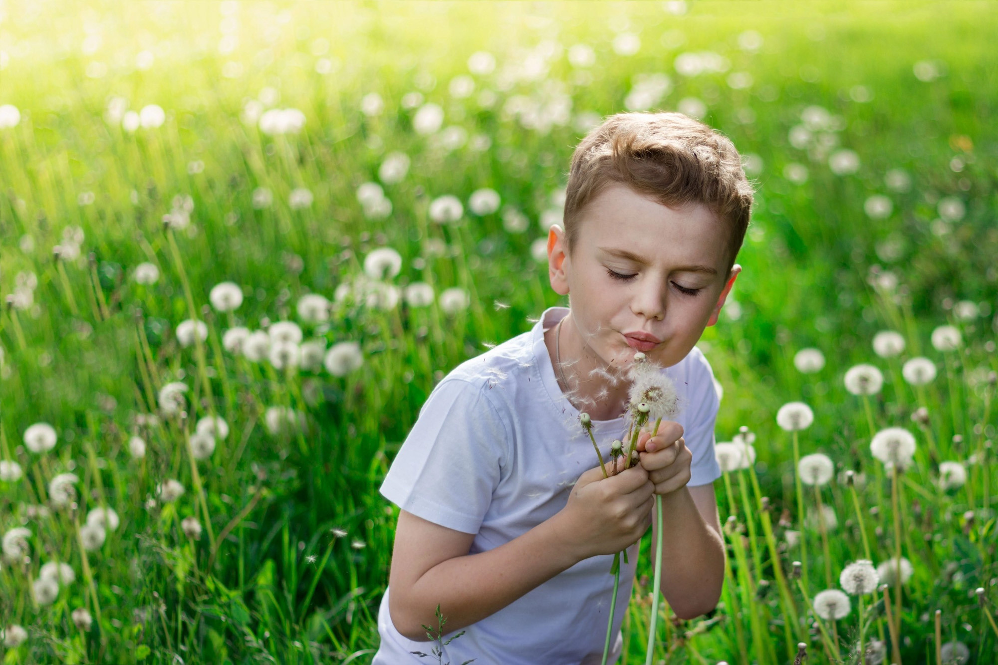 Работы учеников курса по фотографии (вебинар). Наталья Рапопорт. Онлайн-курсы по фотографии и съемке видео