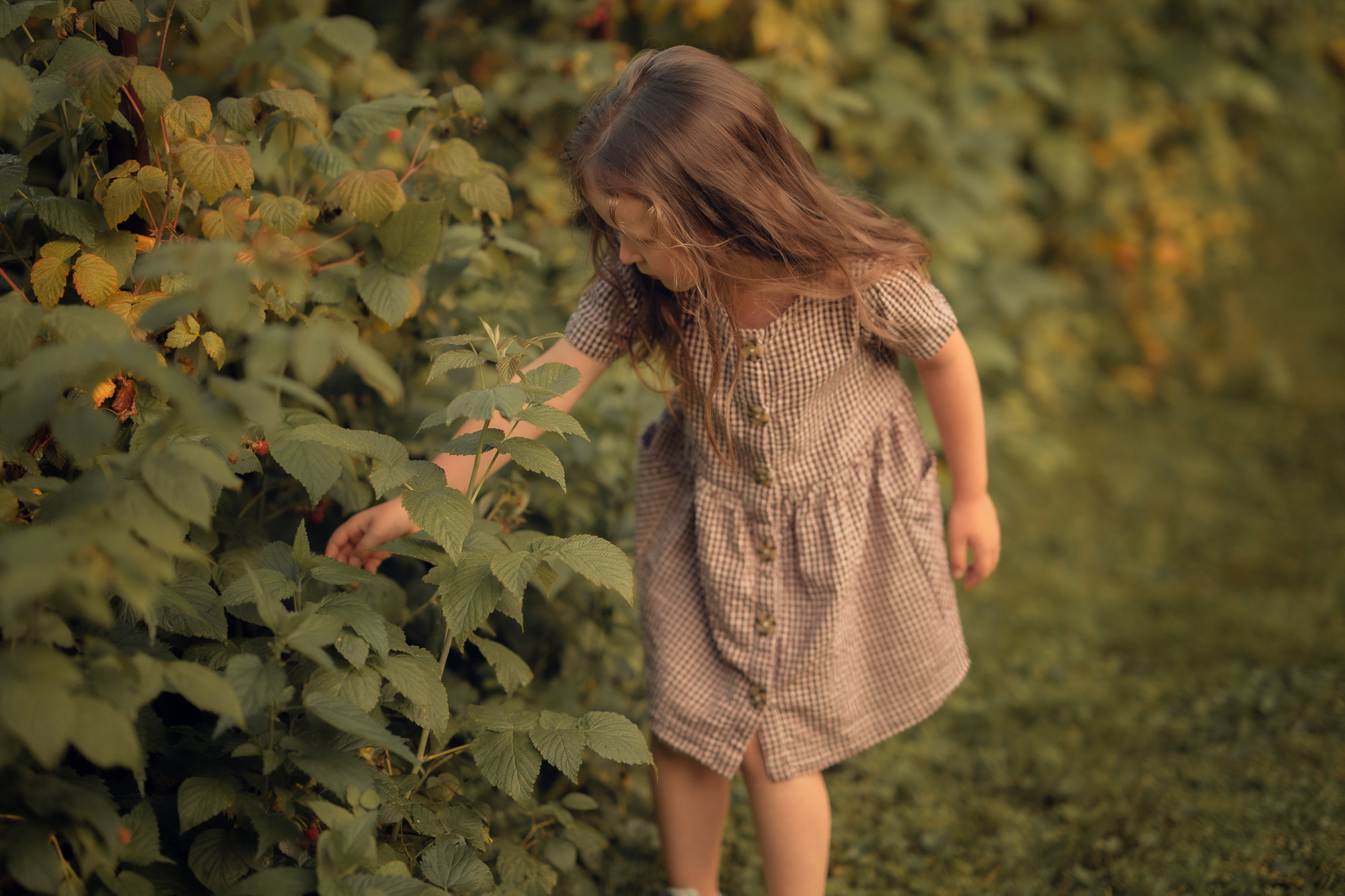 Портфолио (урок по детской съемке). Наталья Рапопорт. Онлайн-курсы по фотографии и съемке видео