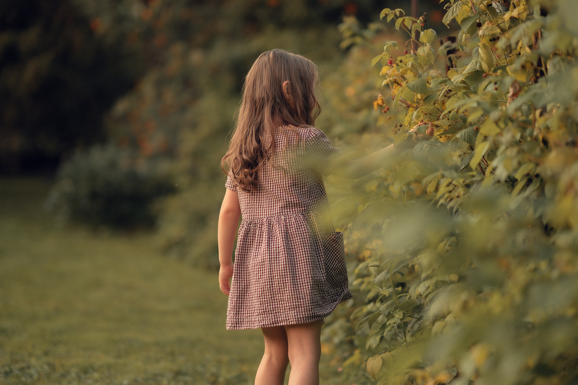 Портфолио (урок по детской съемке). Наталья Рапопорт. Онлайн-курсы по фотографии и съемке видео