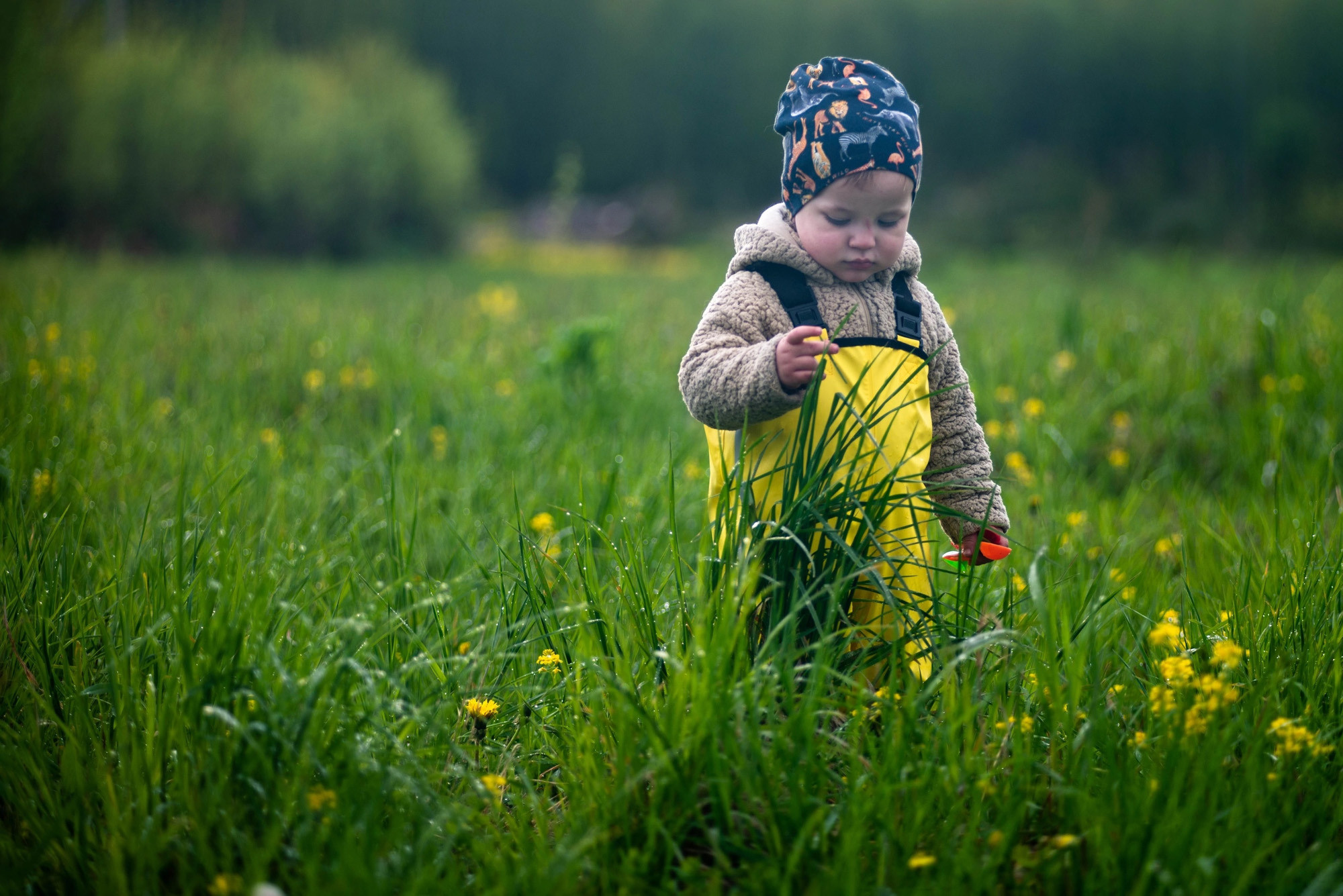 Работы учеников курса по фотографии (вебинар). Наталья Рапопорт. Онлайн-курсы по фотографии и съемке видео