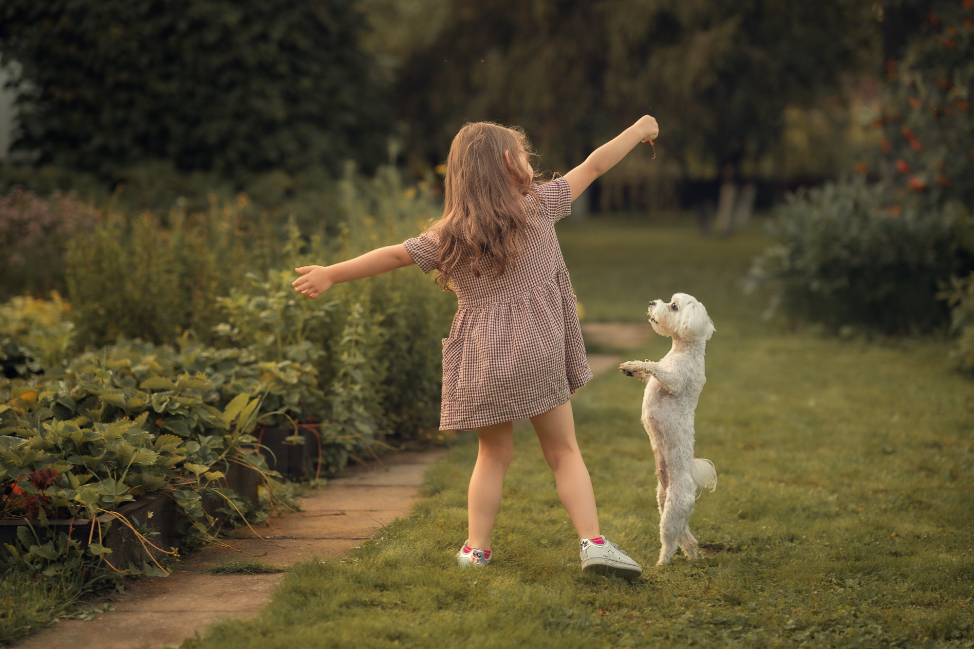 Портфолио (урок по детской съемке). Наталья Рапопорт. Онлайн-курсы по фотографии и съемке видео