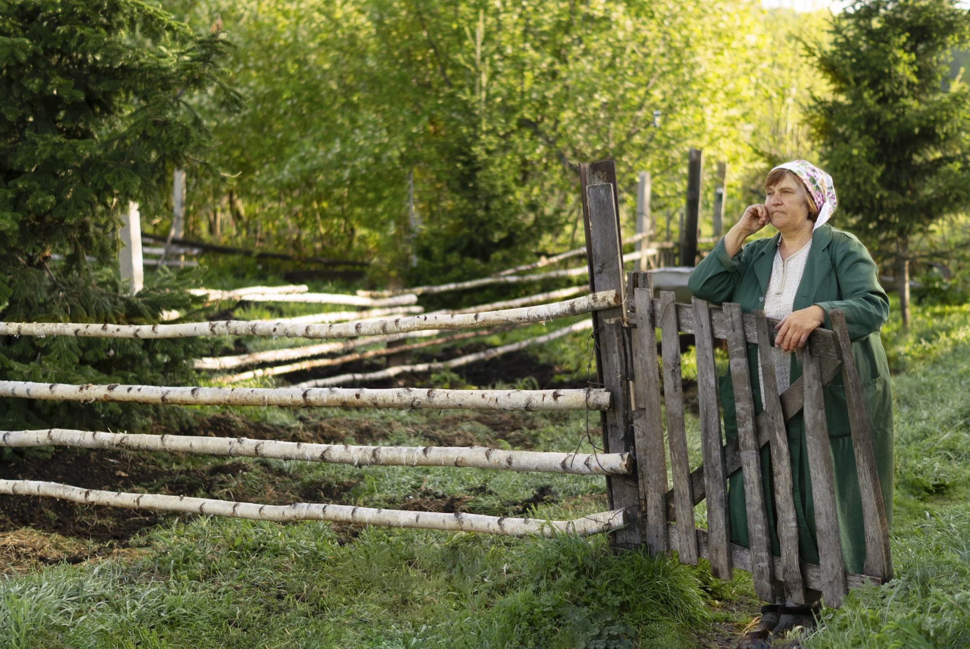Работы учеников курса по фотографии (вебинар). Наталья Рапопорт. Онлайн-курсы по фотографии и съемке видео