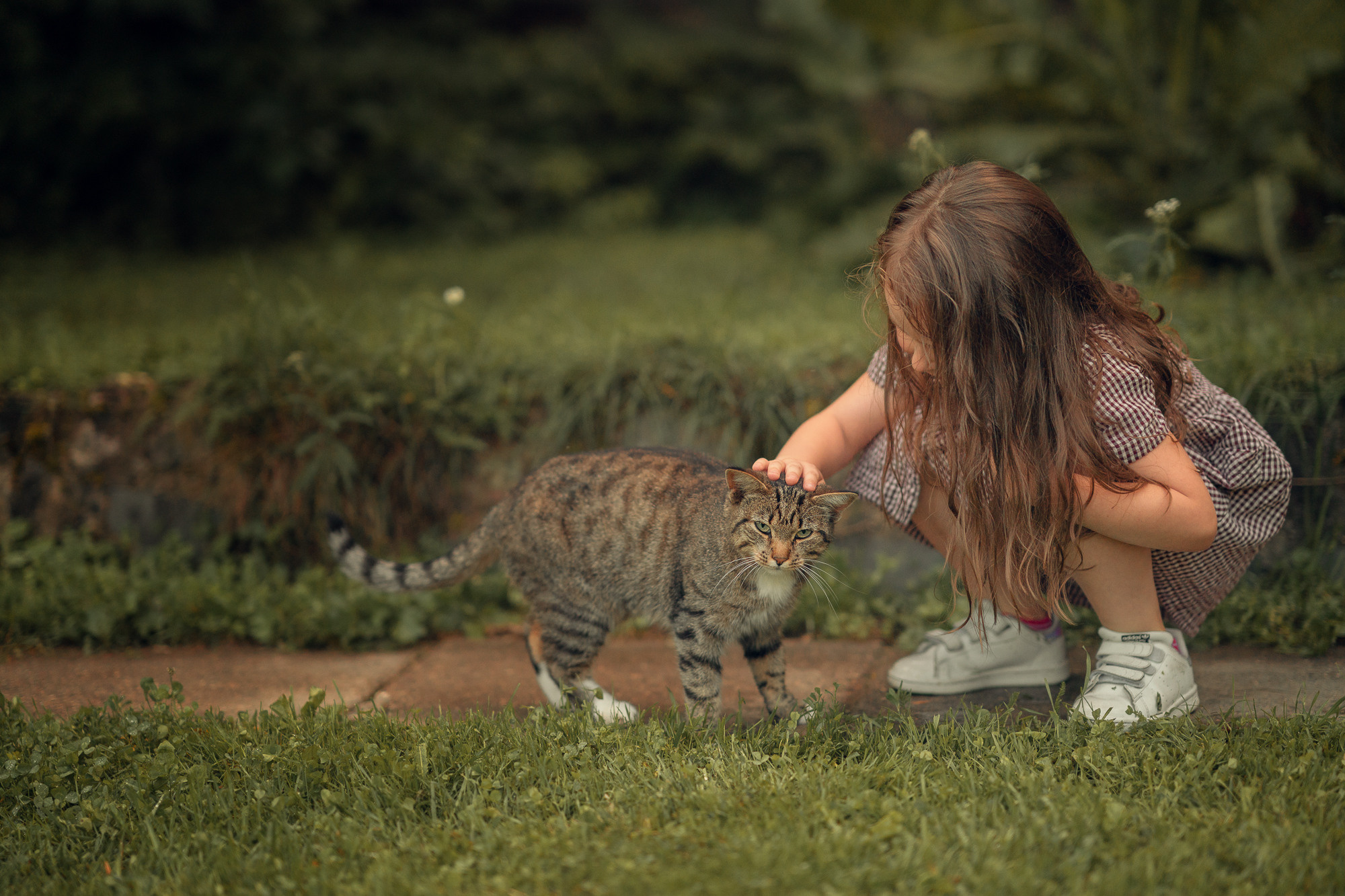 Портфолио (урок по детской съемке). Наталья Рапопорт. Онлайн-курсы по фотографии и съемке видео