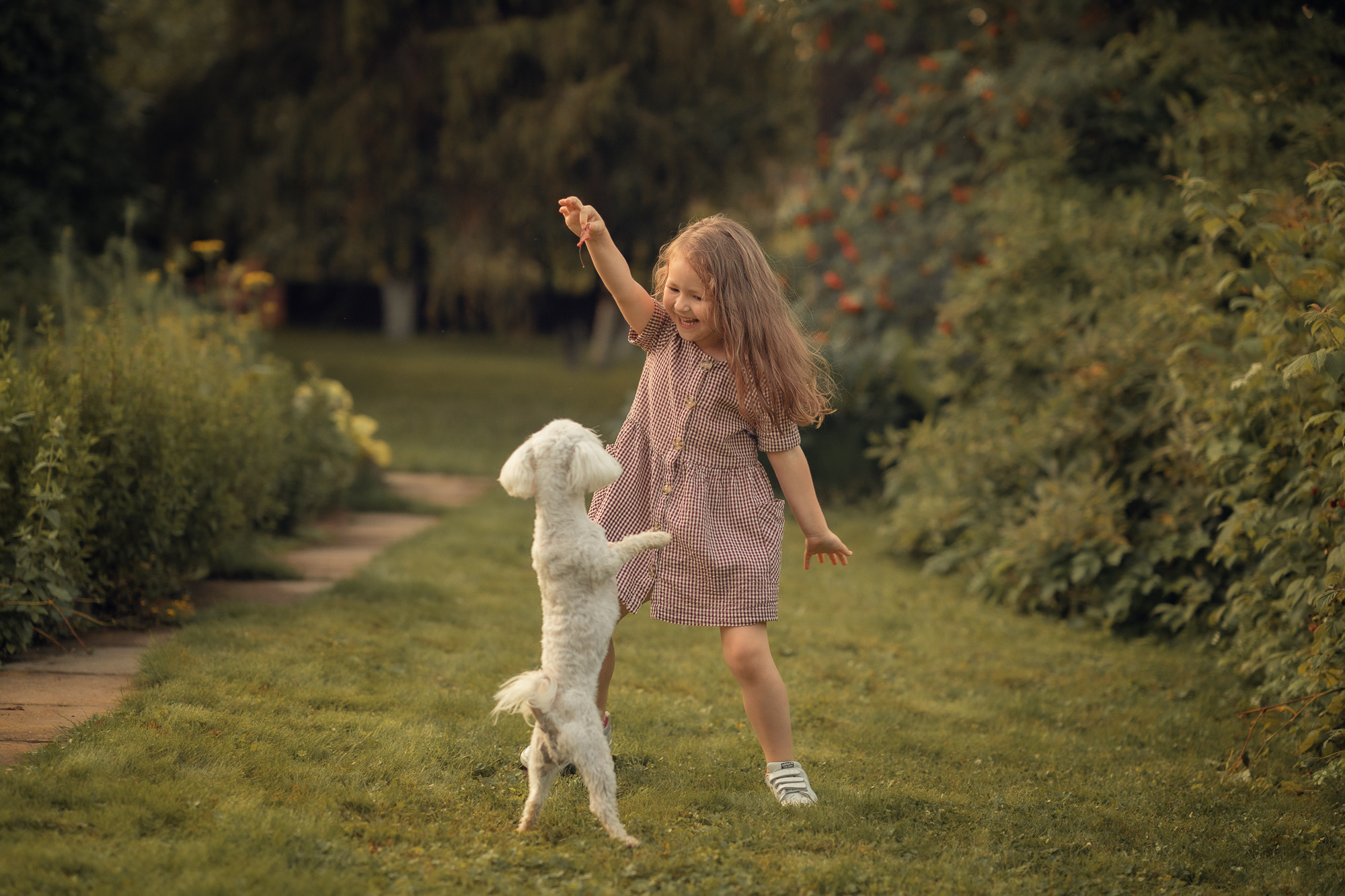Портфолио (урок по детской съемке). Наталья Рапопорт. Онлайн-курсы по фотографии и съемке видео