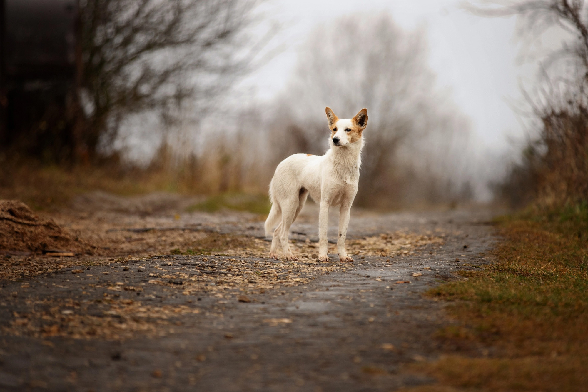 Работы учеников курса по фотографии. Наталья Рапопорт. Онлайн-курсы по фотографии и съемке видео
