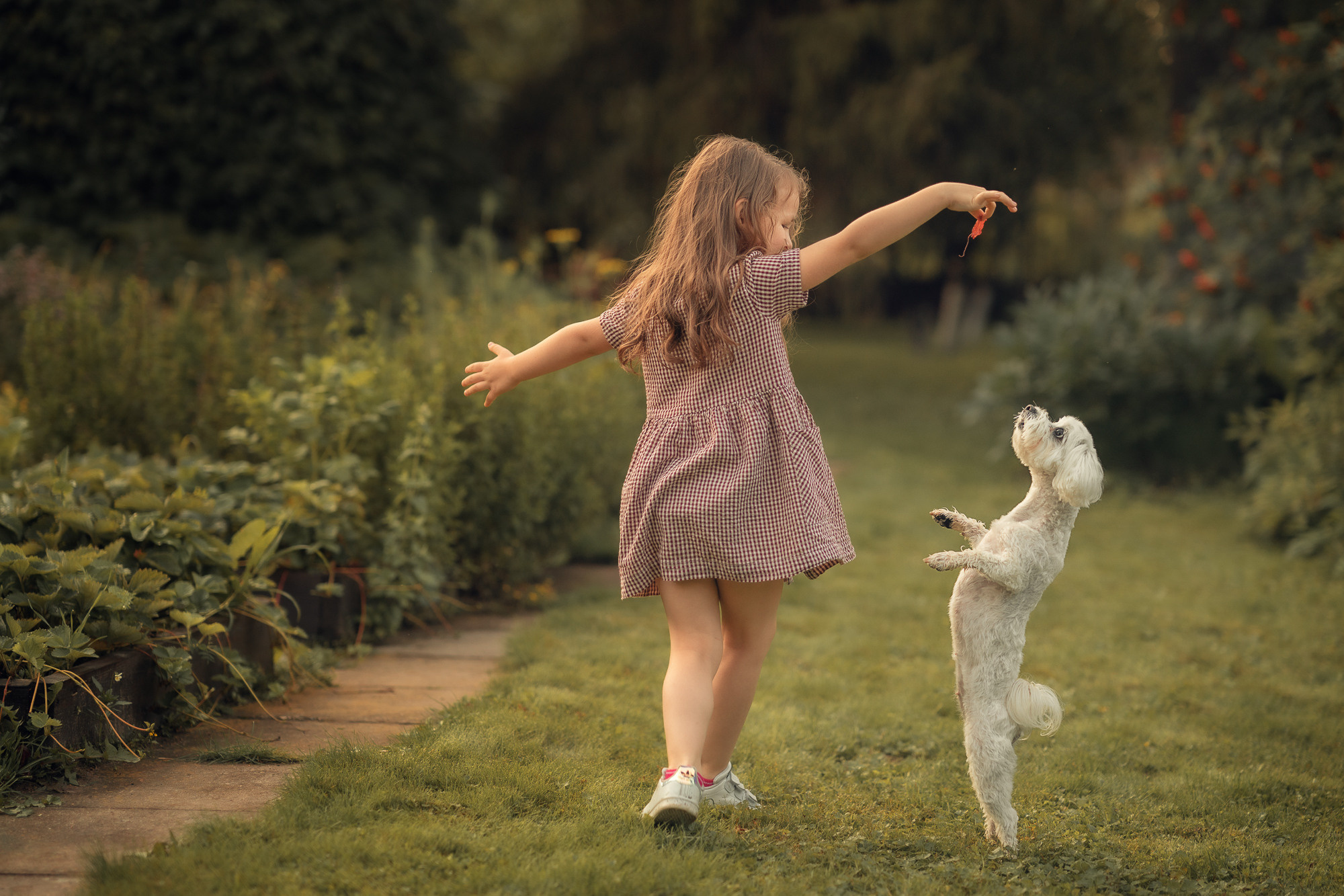 Портфолио (урок по детской съемке). Наталья Рапопорт. Онлайн-курсы по фотографии и съемке видео