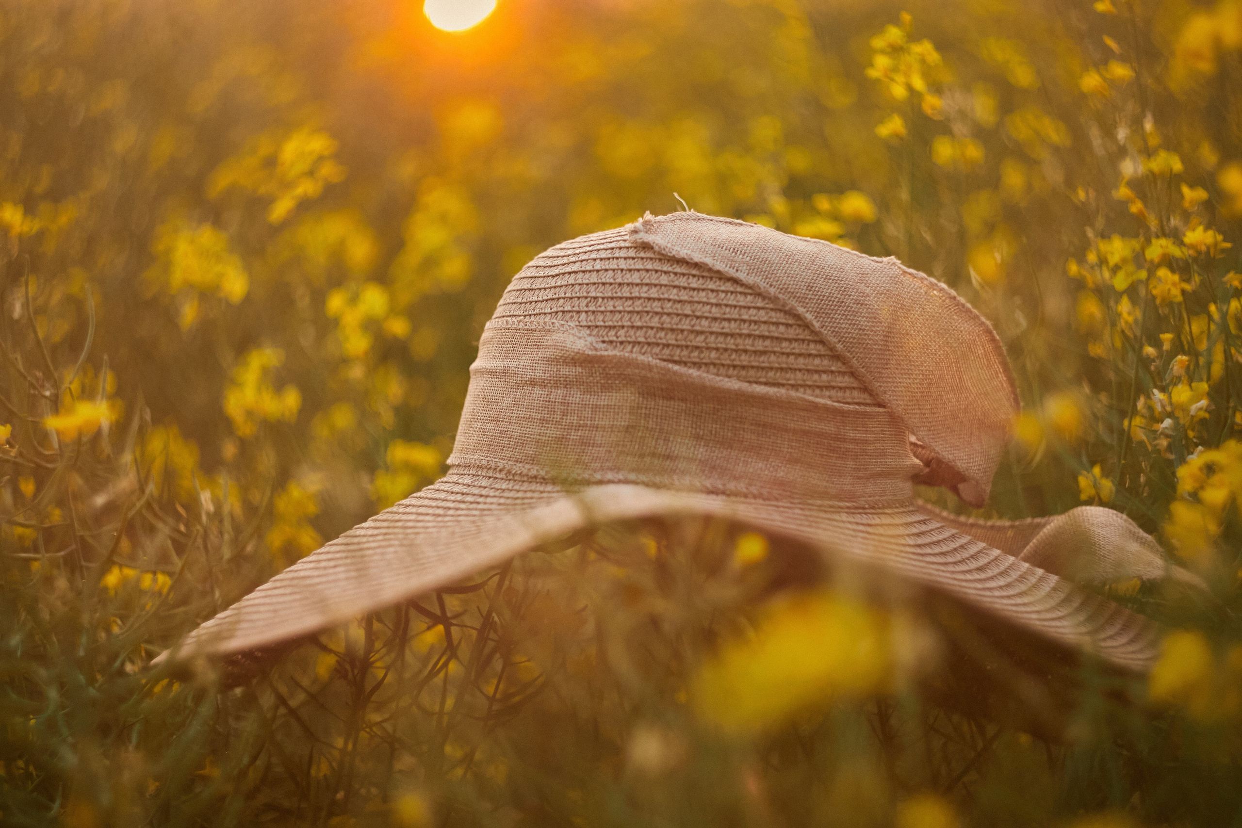 «Рапс». Свадебный и креативный фотограф в ЮФО и МСК
