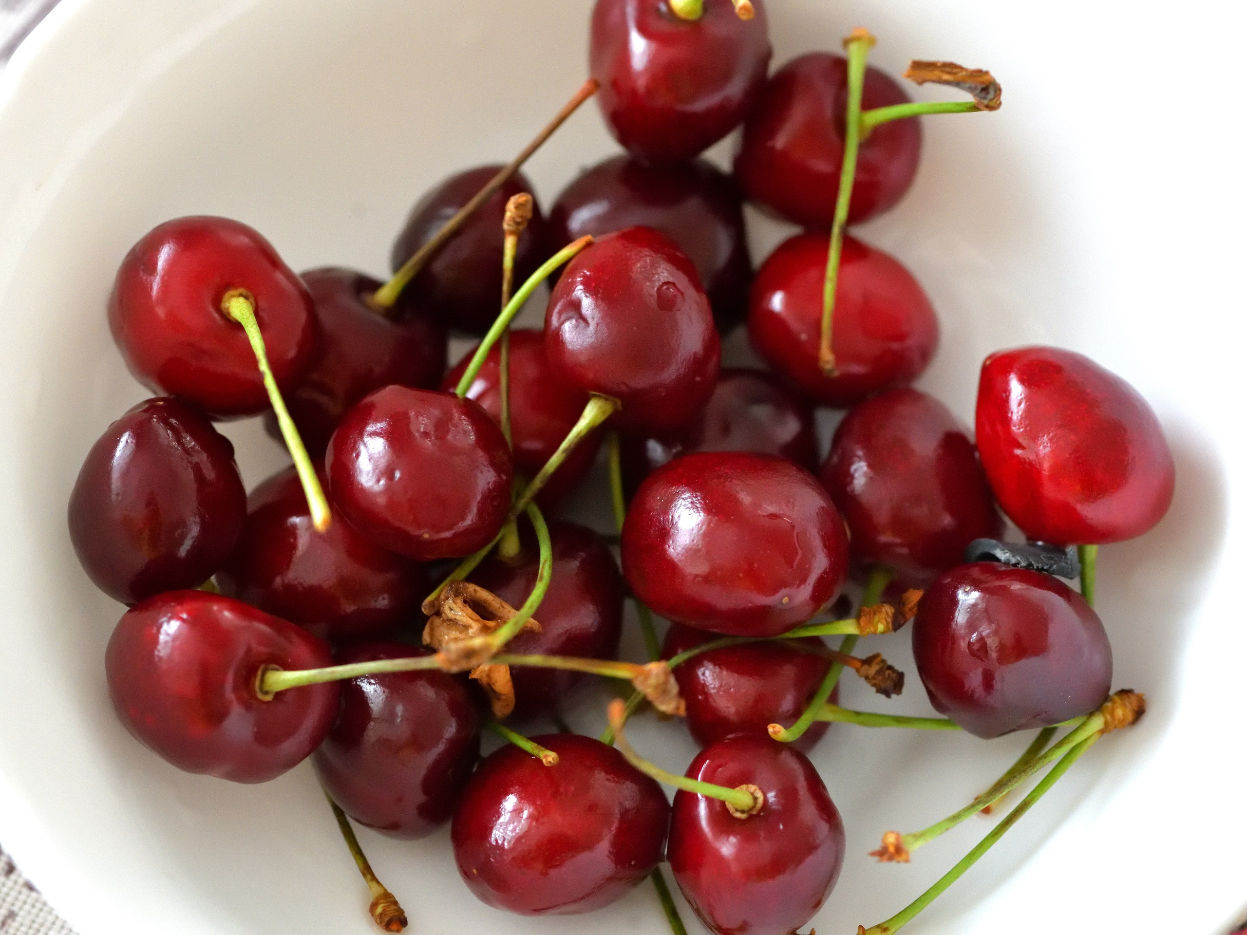 Цветы. Сергей Люльченко фотоальбом