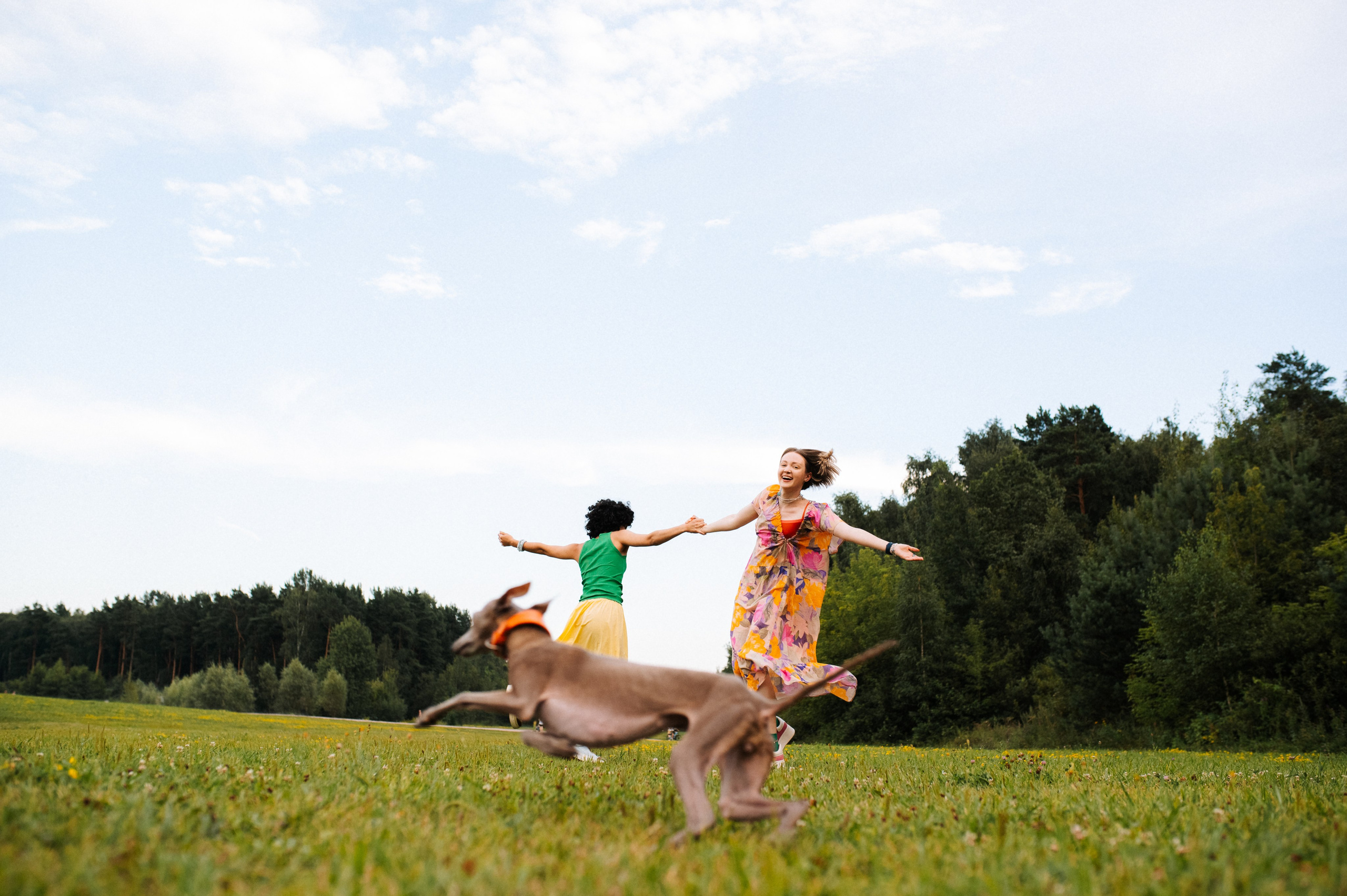 Хвост, смех и лучшие подруги. Фотограф анималист в Москве Ольга Агушева