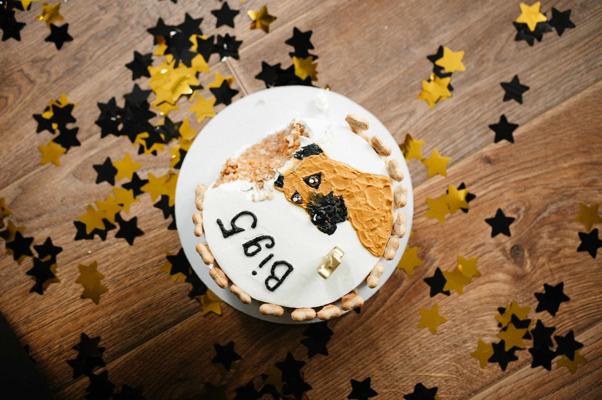 Оксана и Зевс. Фотограф анималист в Москве Ольга Агушева