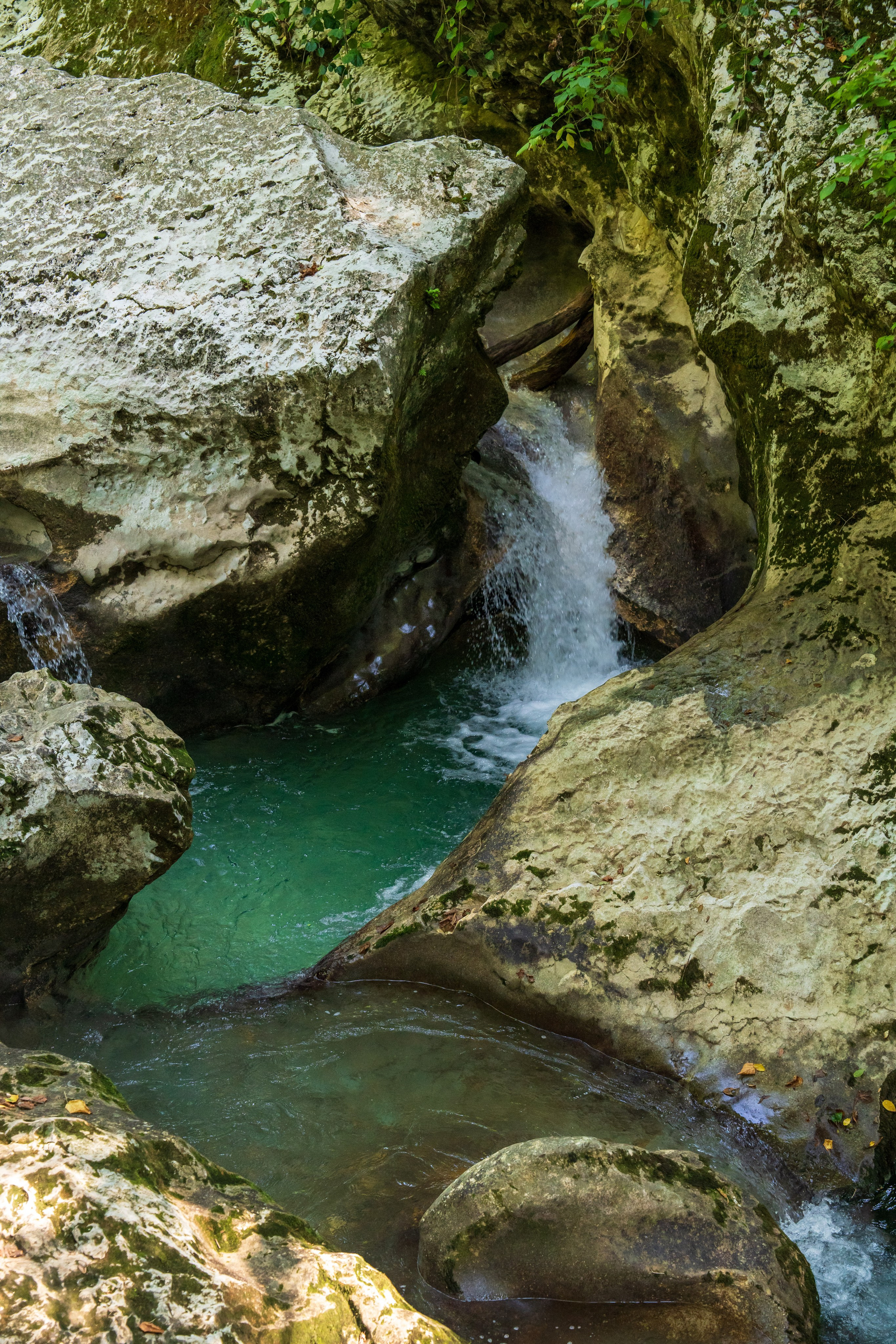 Mice мероприятие — тур по Абхазии. Репортажный фотограф в Красной Поляне и Сочи Павлюченко Екатерина