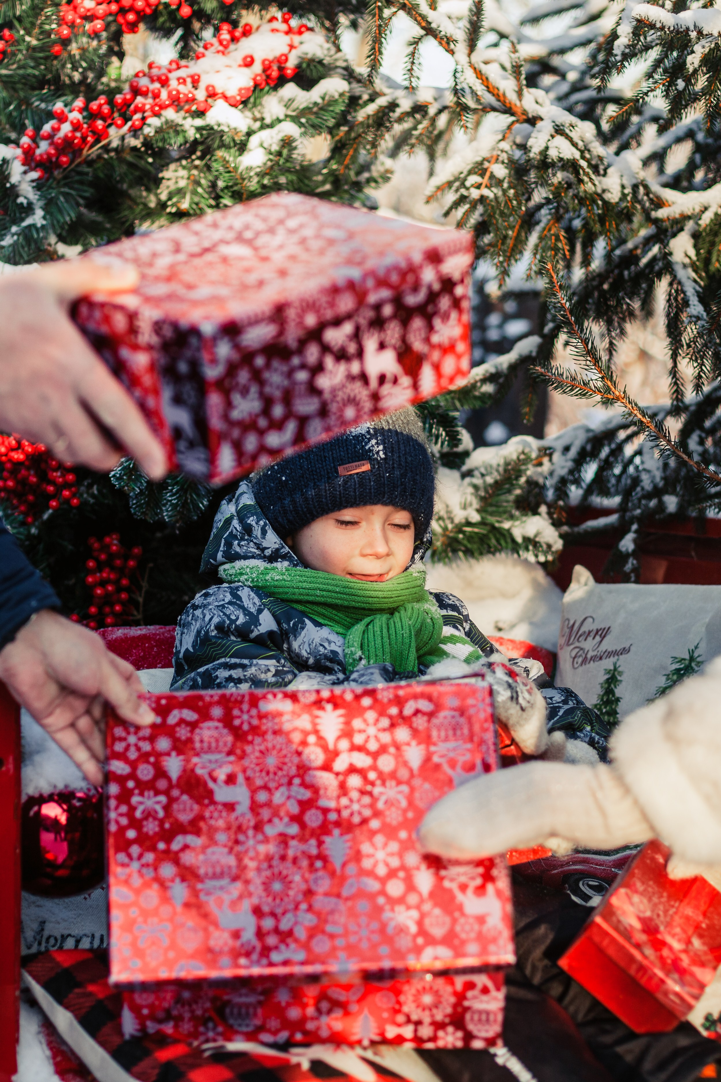 Зингер дача. Фотограф-анималист Татьяна Степанова
