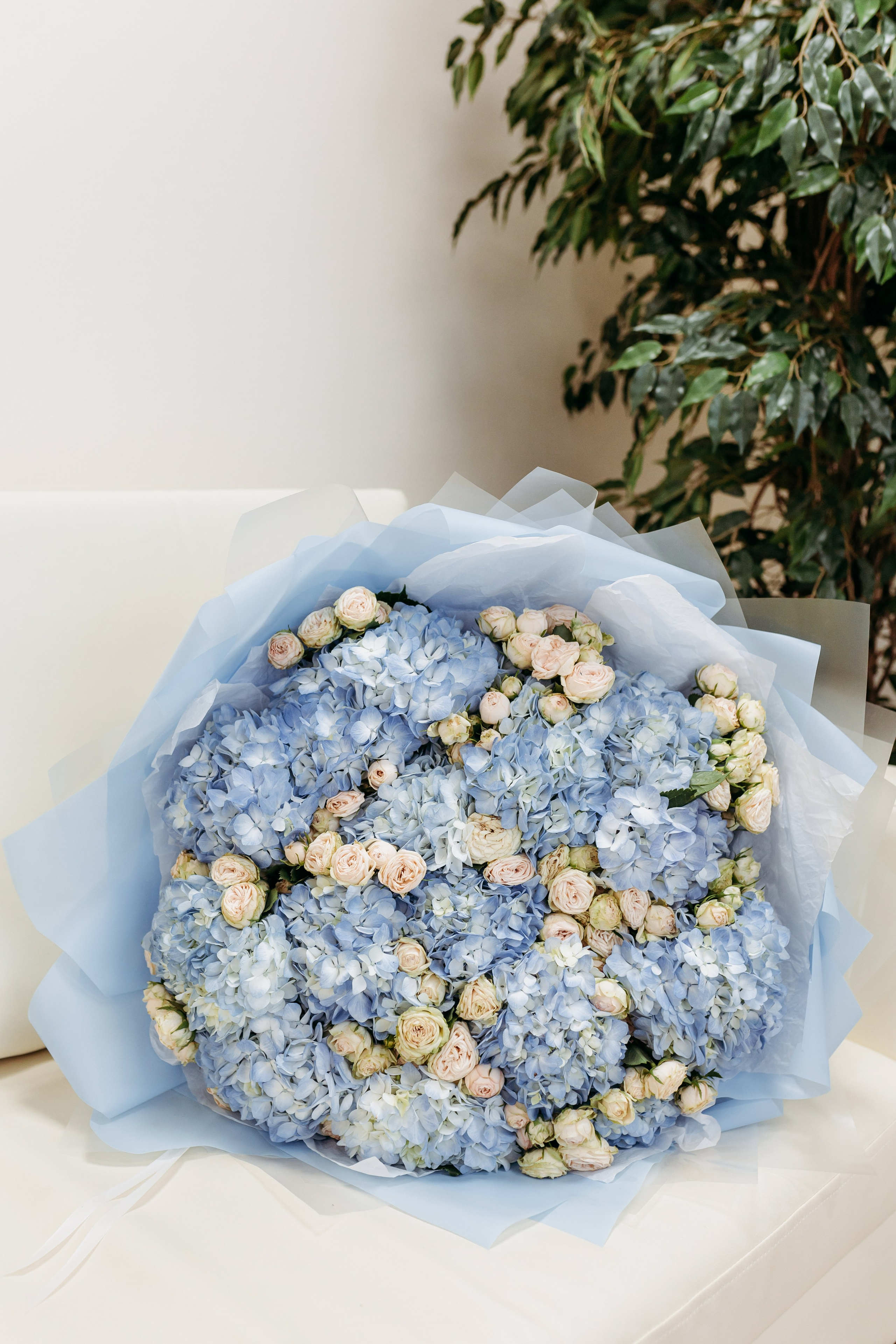 Екатерининский роддом. Семейный фотограф в Краснодаре Яна Морева