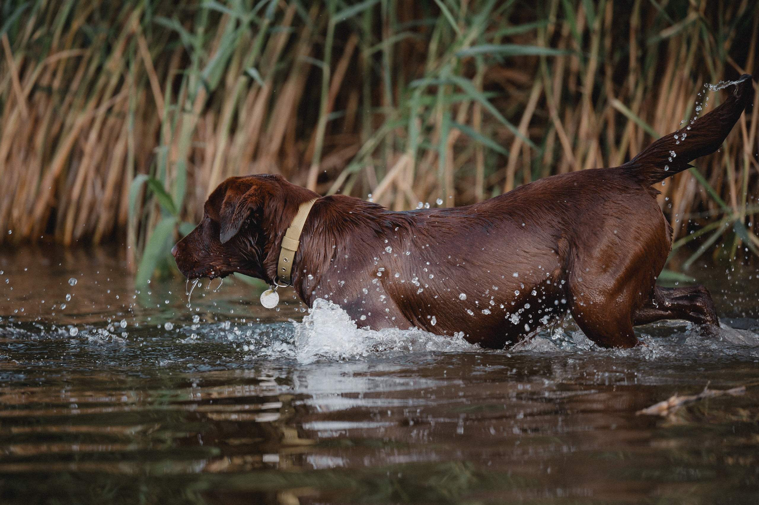 Анечка и Дэя. Фотограф в Ростове —на — Дону