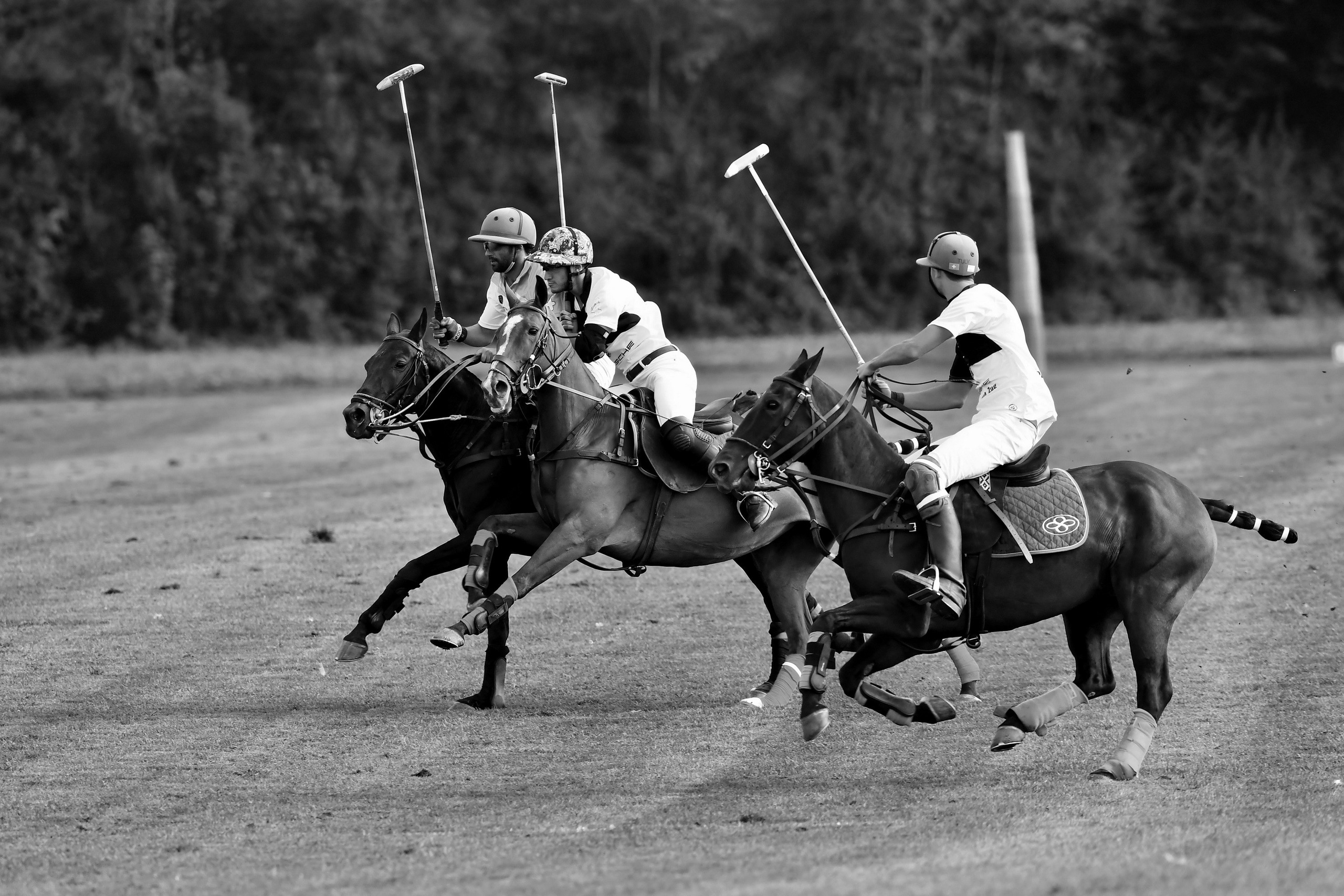 Polo art photos. Art photos of horses — ARTUR BABOEV | Photographer