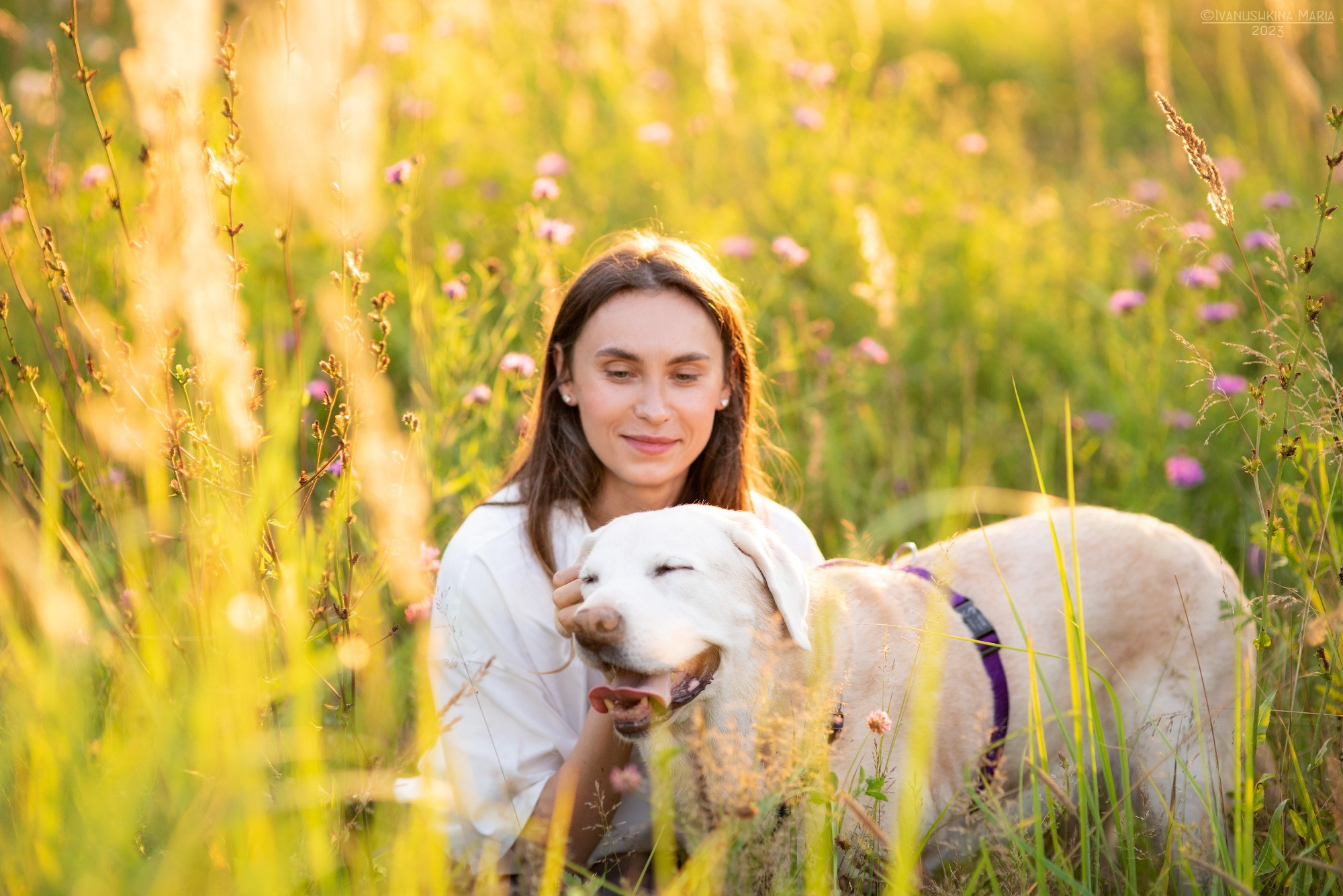 Фотосессия с собакой. Фотограф собак в Москве и Московской области Иванушкина Мария