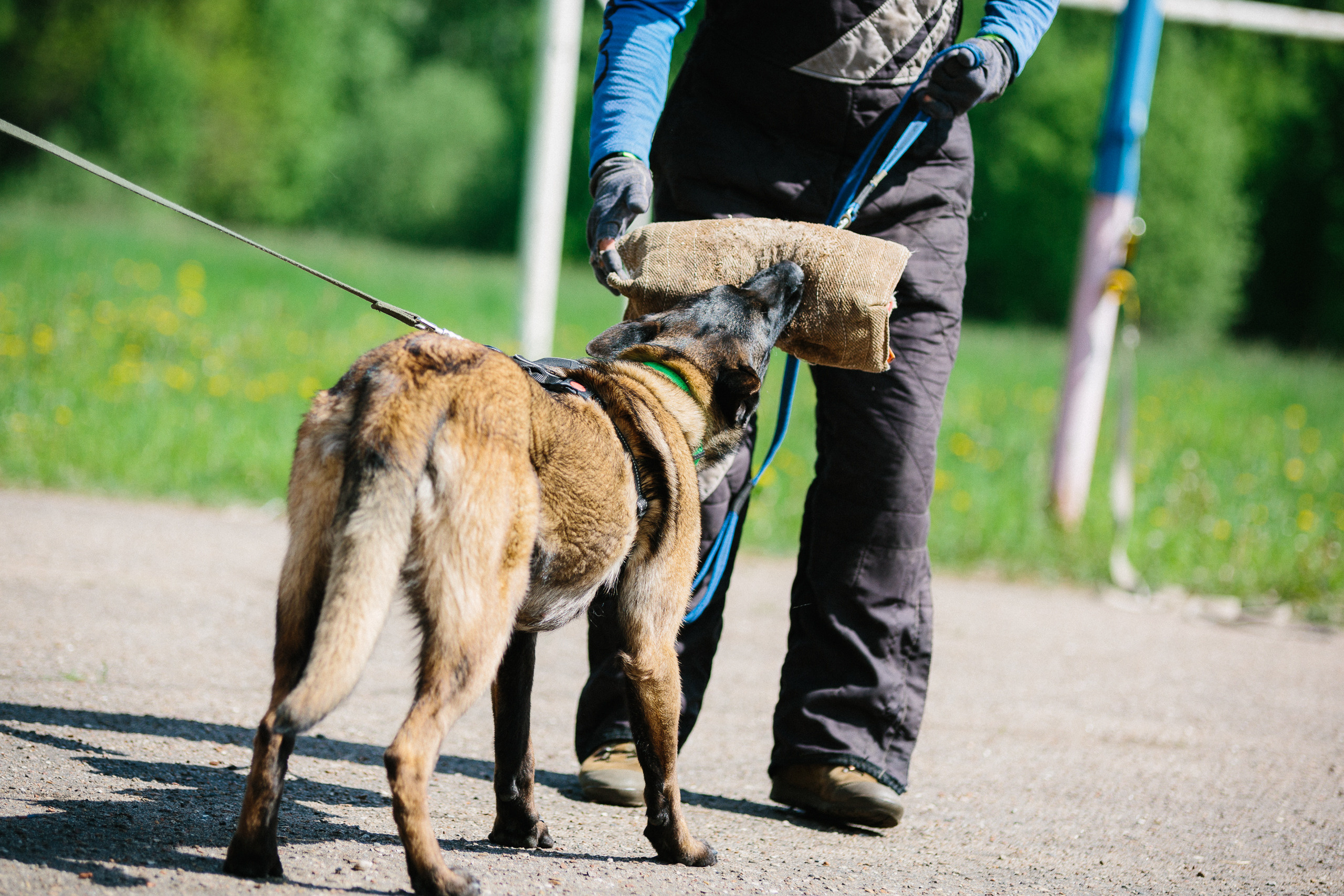 Тренировка ЗКС клуба «РжевГард». Алёна Мелихова | Фотограф Тверь, Старица, Ржев