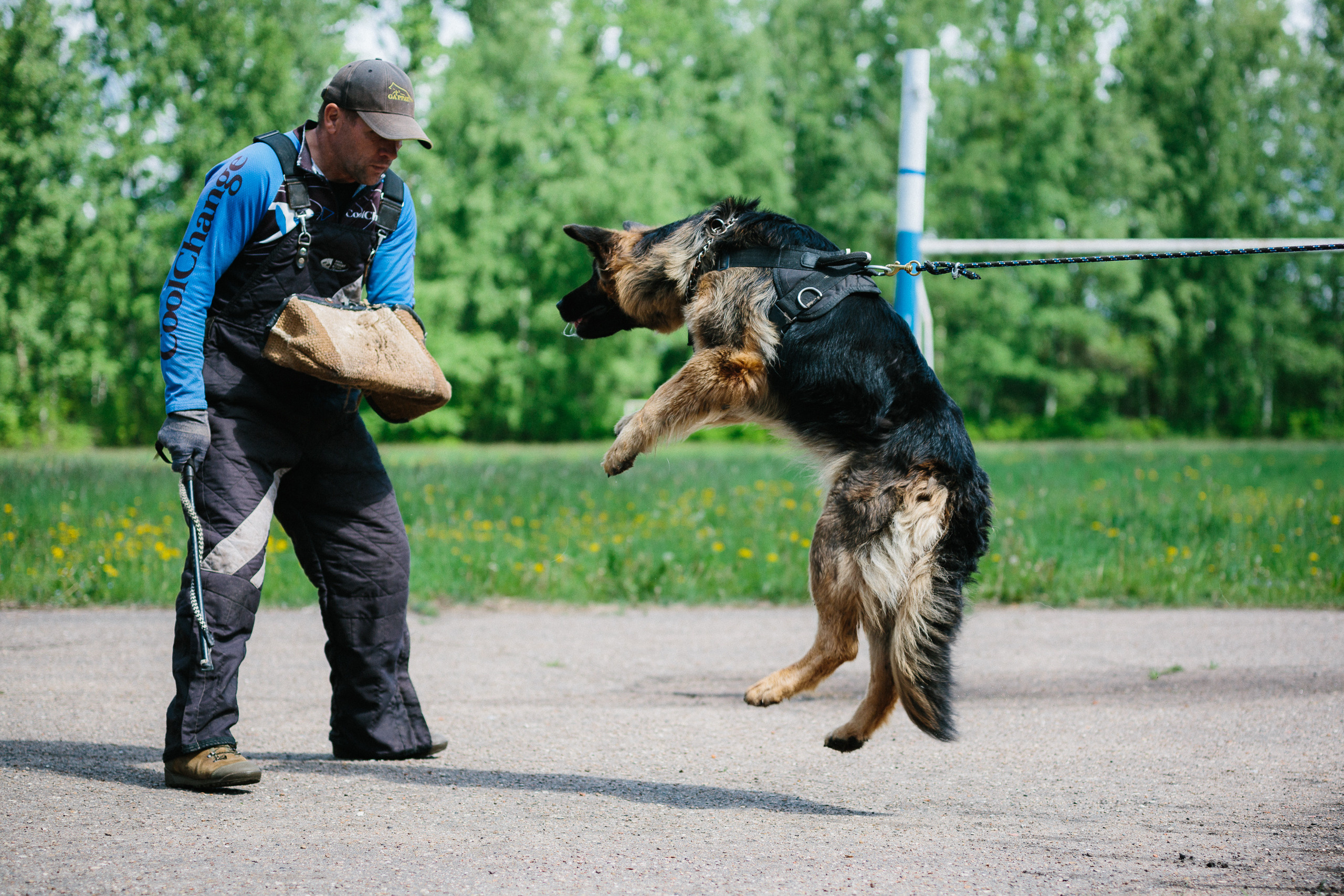 Тренировка ЗКС клуба «РжевГард». Алёна Мелихова | Фотограф Тверь, Старица, Ржев