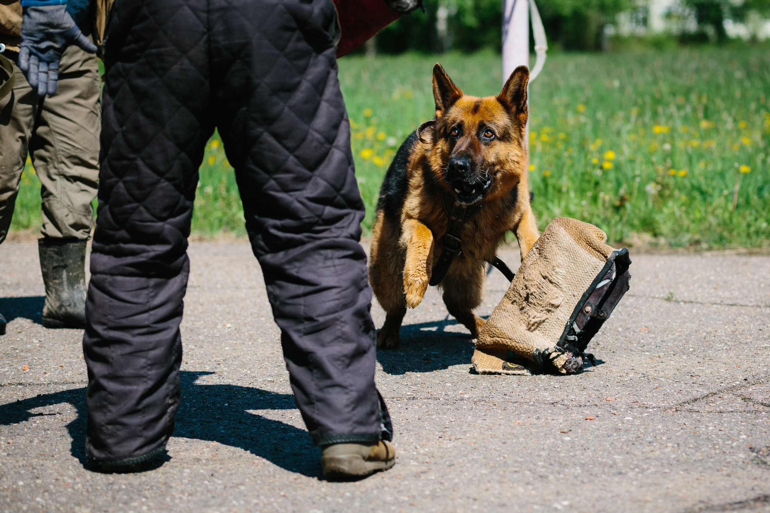 Тренировка ЗКС клуба «РжевГард». Алёна Мелихова | Фотограф Тверь, Старица, Ржев