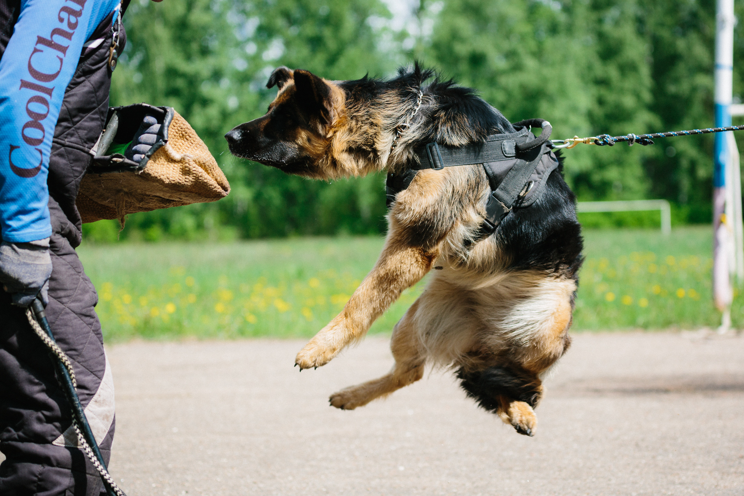Тренировка ЗКС клуба «РжевГард». Алёна Мелихова | Фотограф Тверь, Старица, Ржев