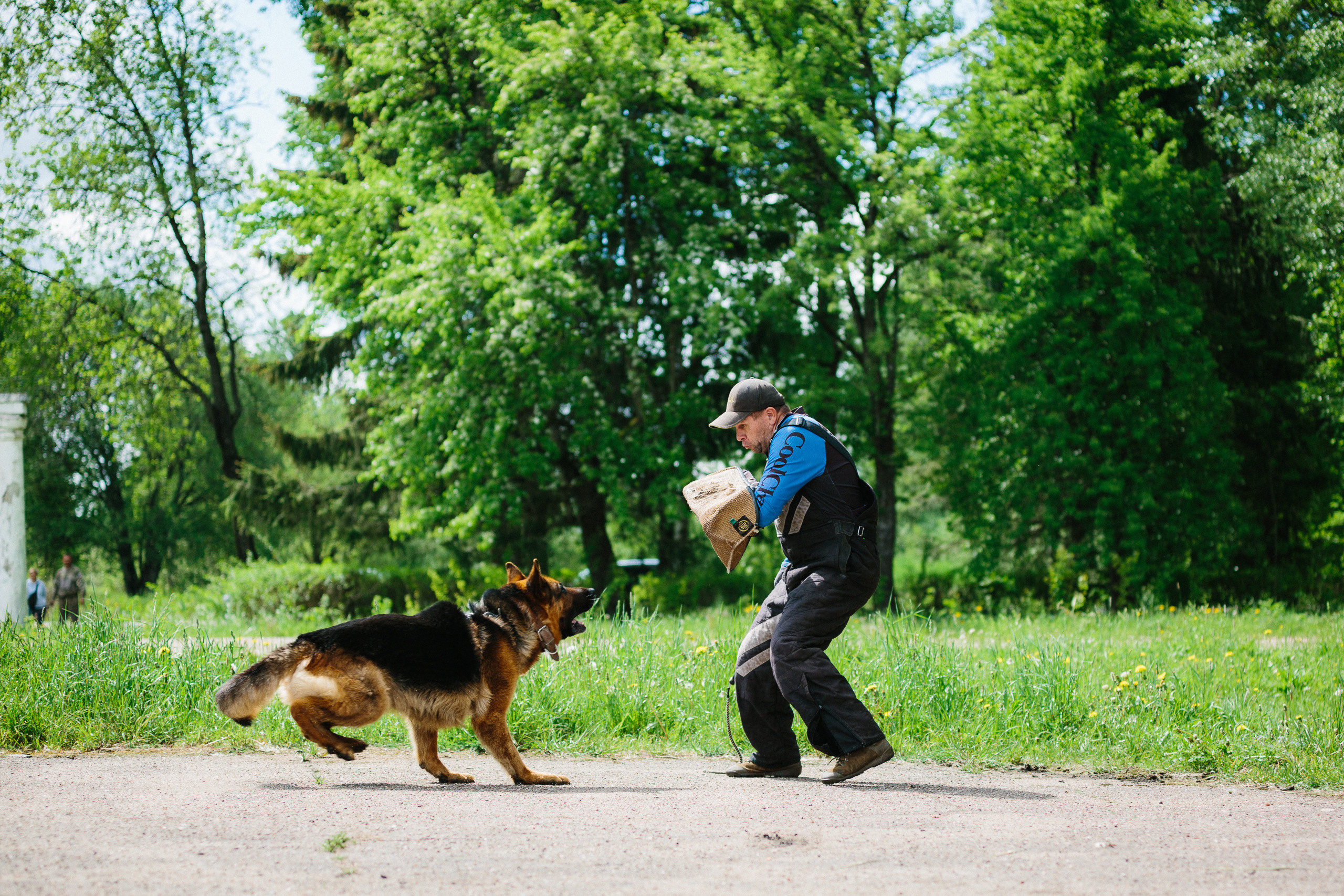Тренировка ЗКС клуба «РжевГард». Алёна Мелихова | Фотограф Тверь, Старица, Ржев