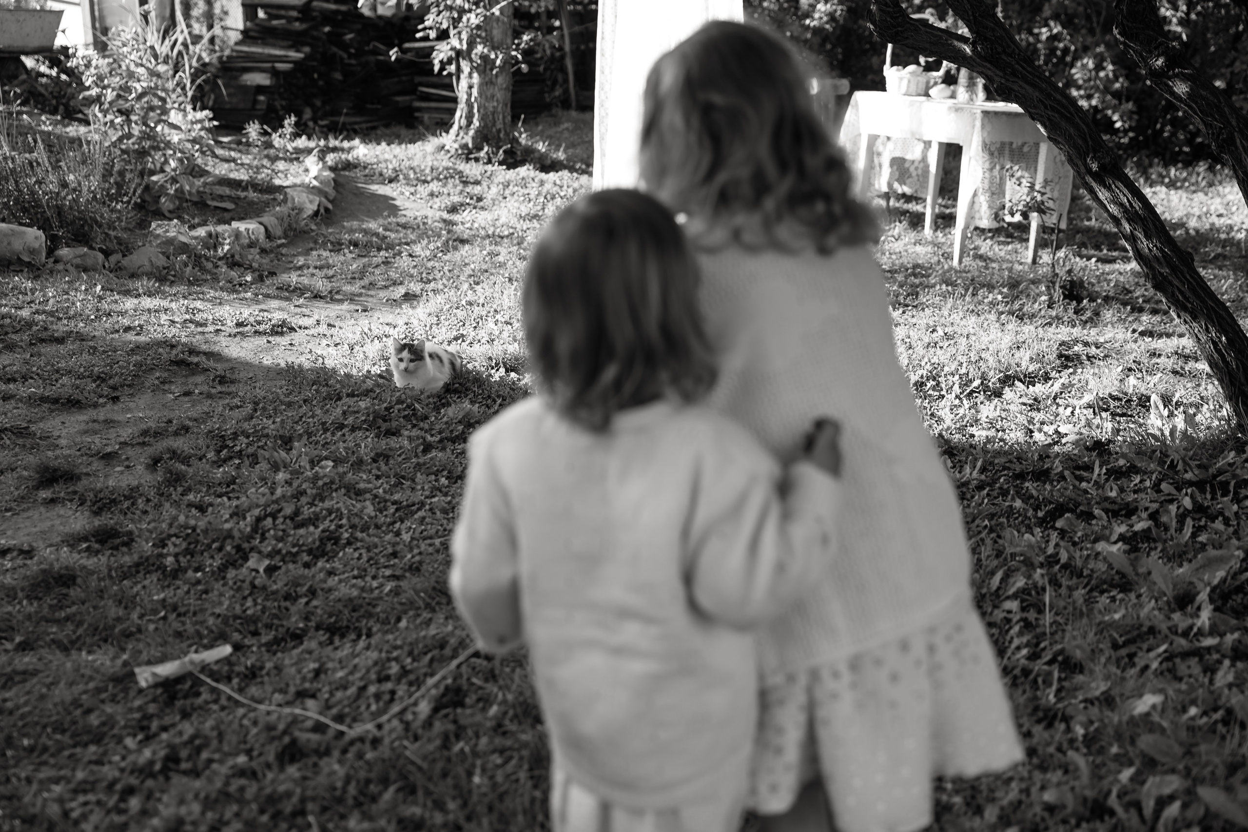 Никита, Катя, Тася, Бодя и Варя. Свадебный и Семейный фотограф по всему миру Анна Фёдорова