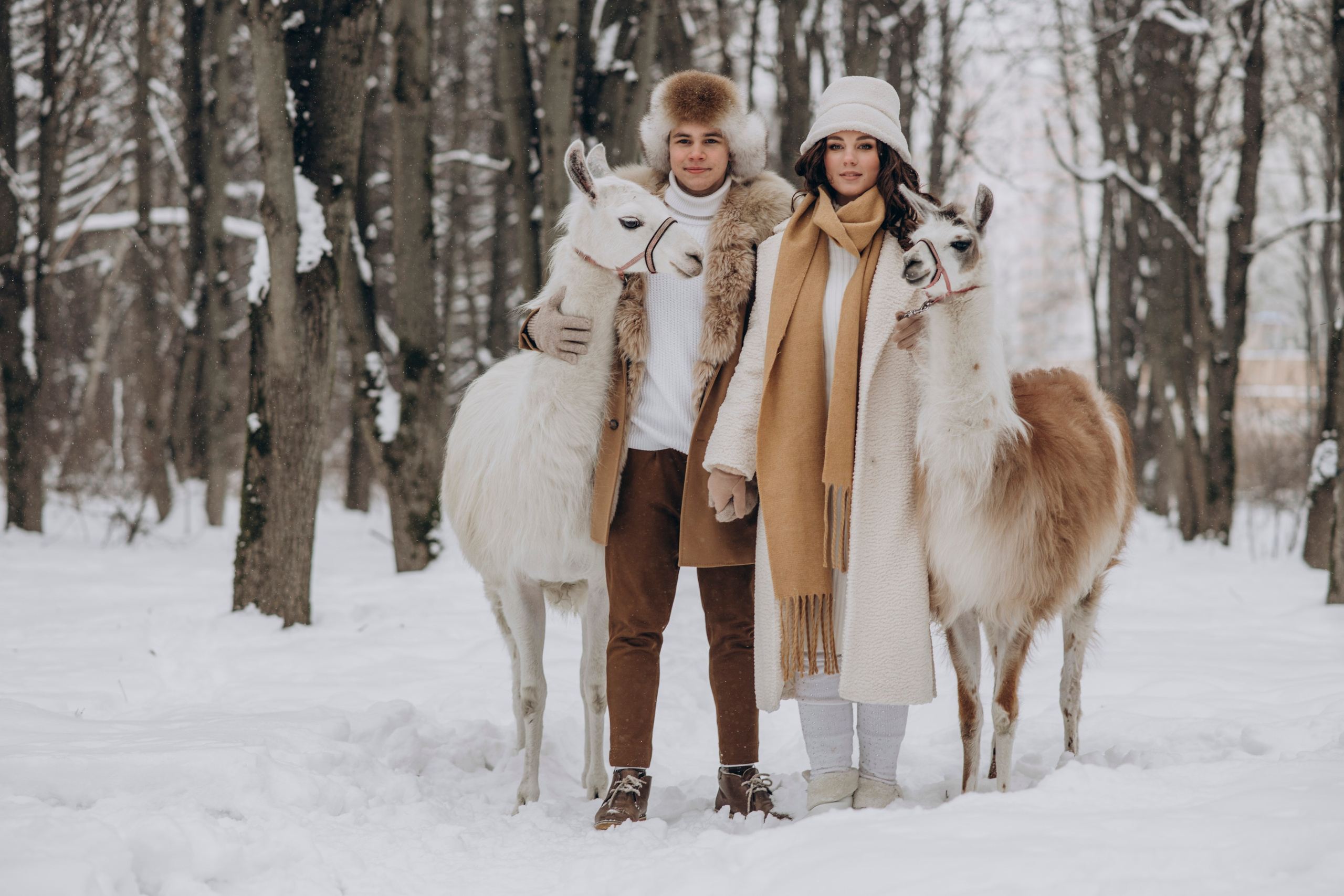 Семейная фотосессия, пара стоит в снегу с альпаками