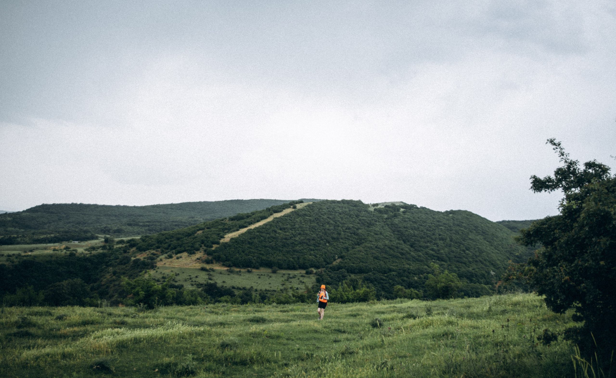 Коджори, Грузия 🇬🇪 «Honey Trip». Anita_photo