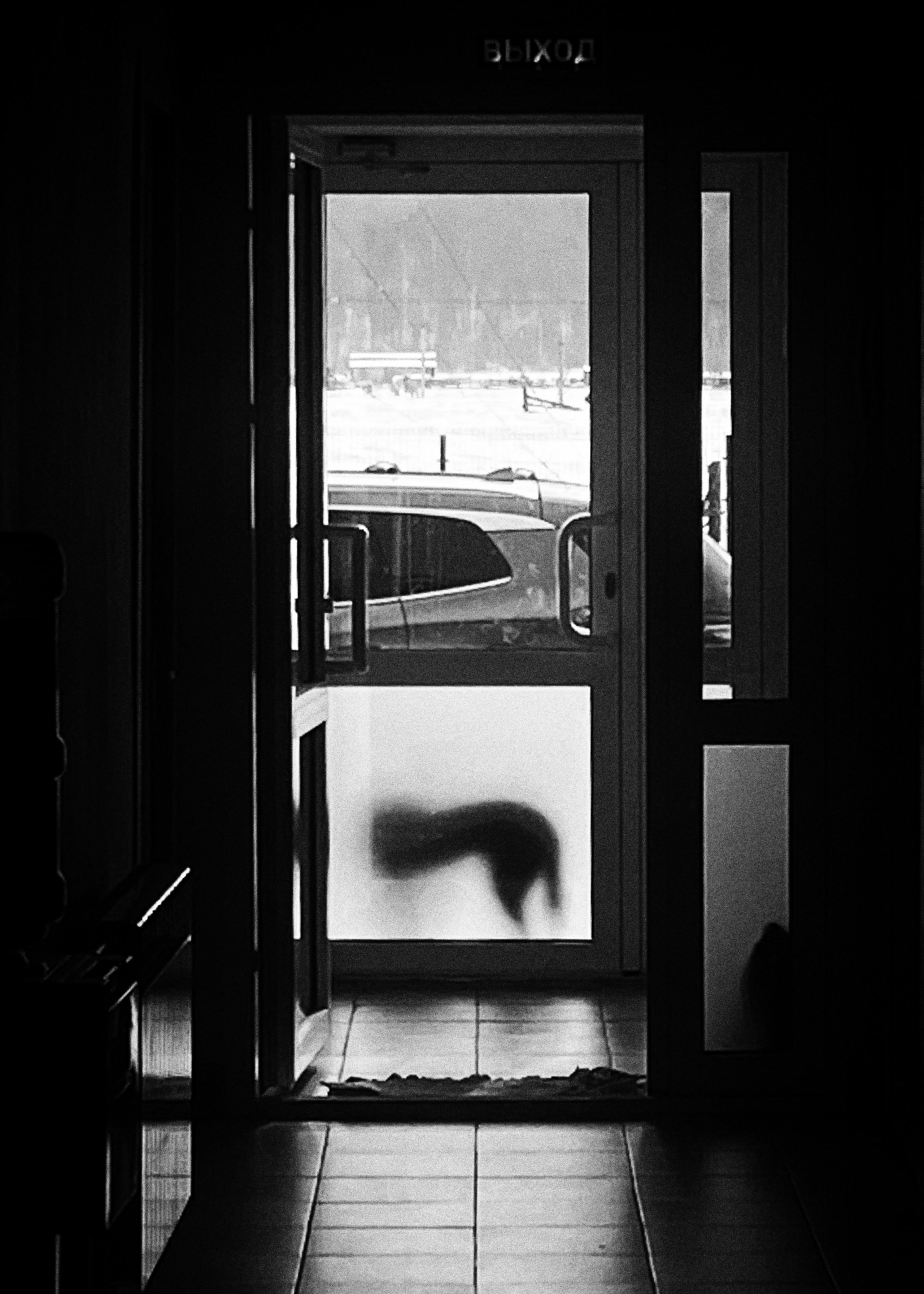 2025 год. Тащилин Сергей. Фотографии. Жизнь. Хобби